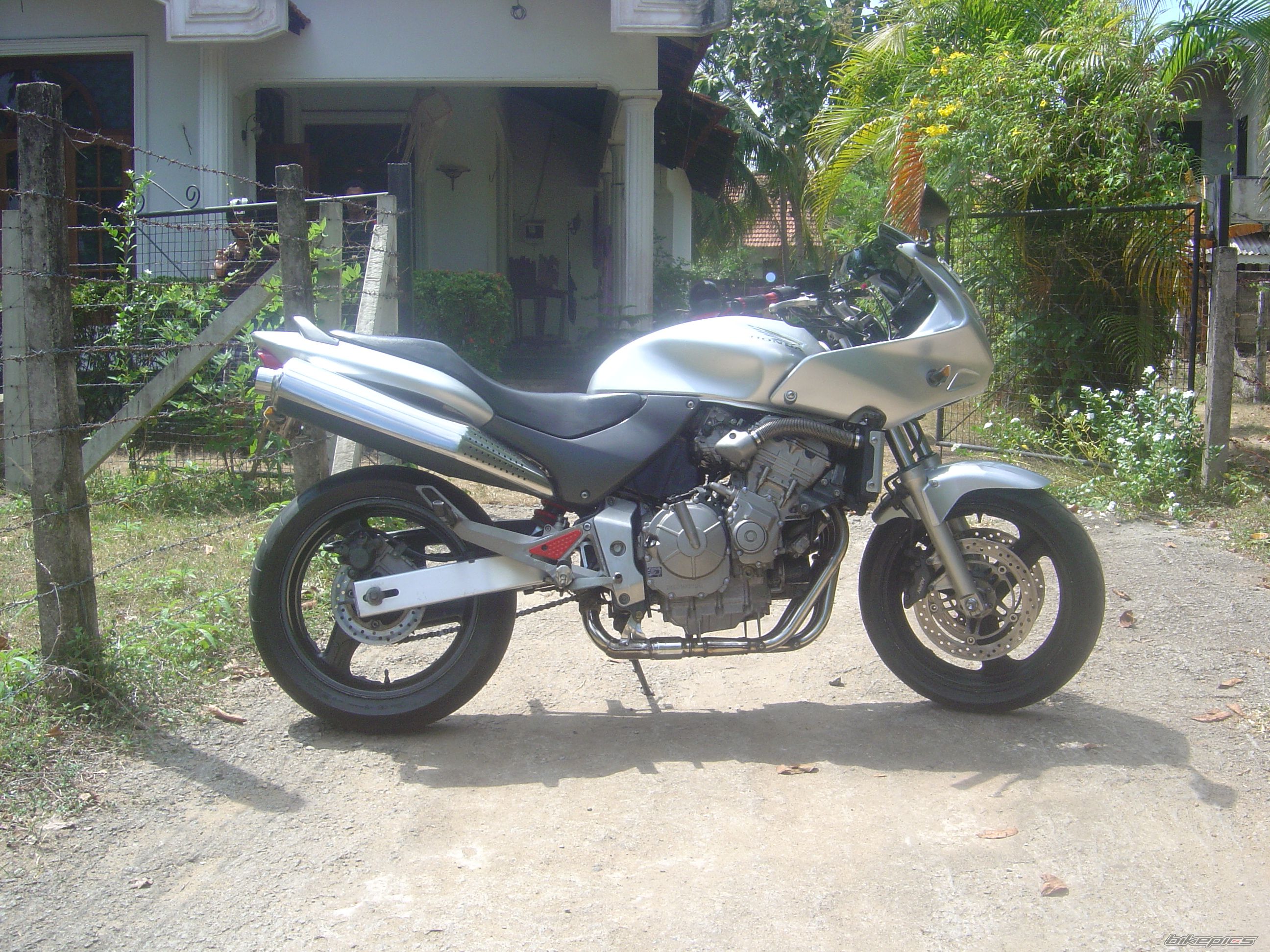Photo 2316254