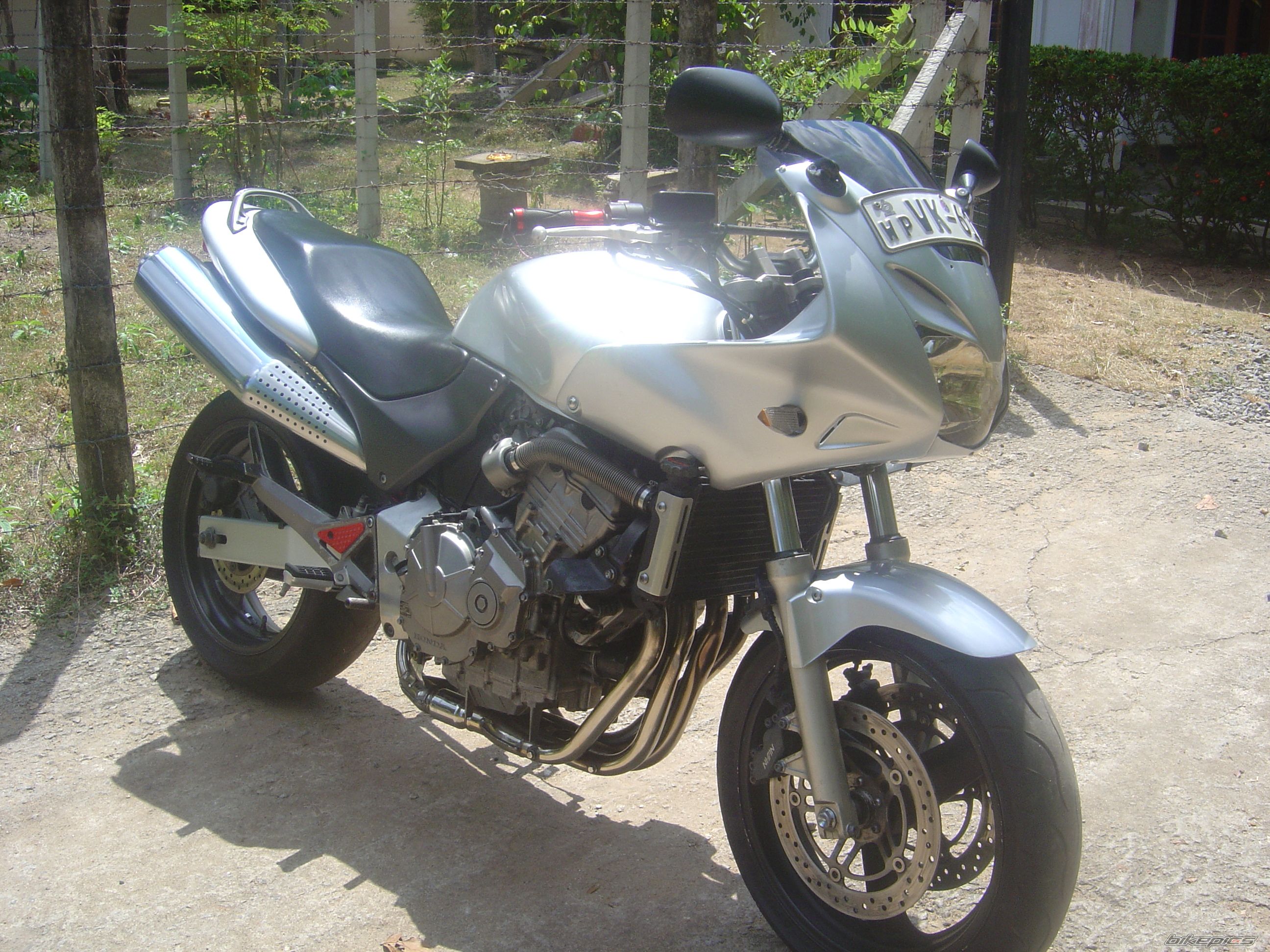 Photo 2316255