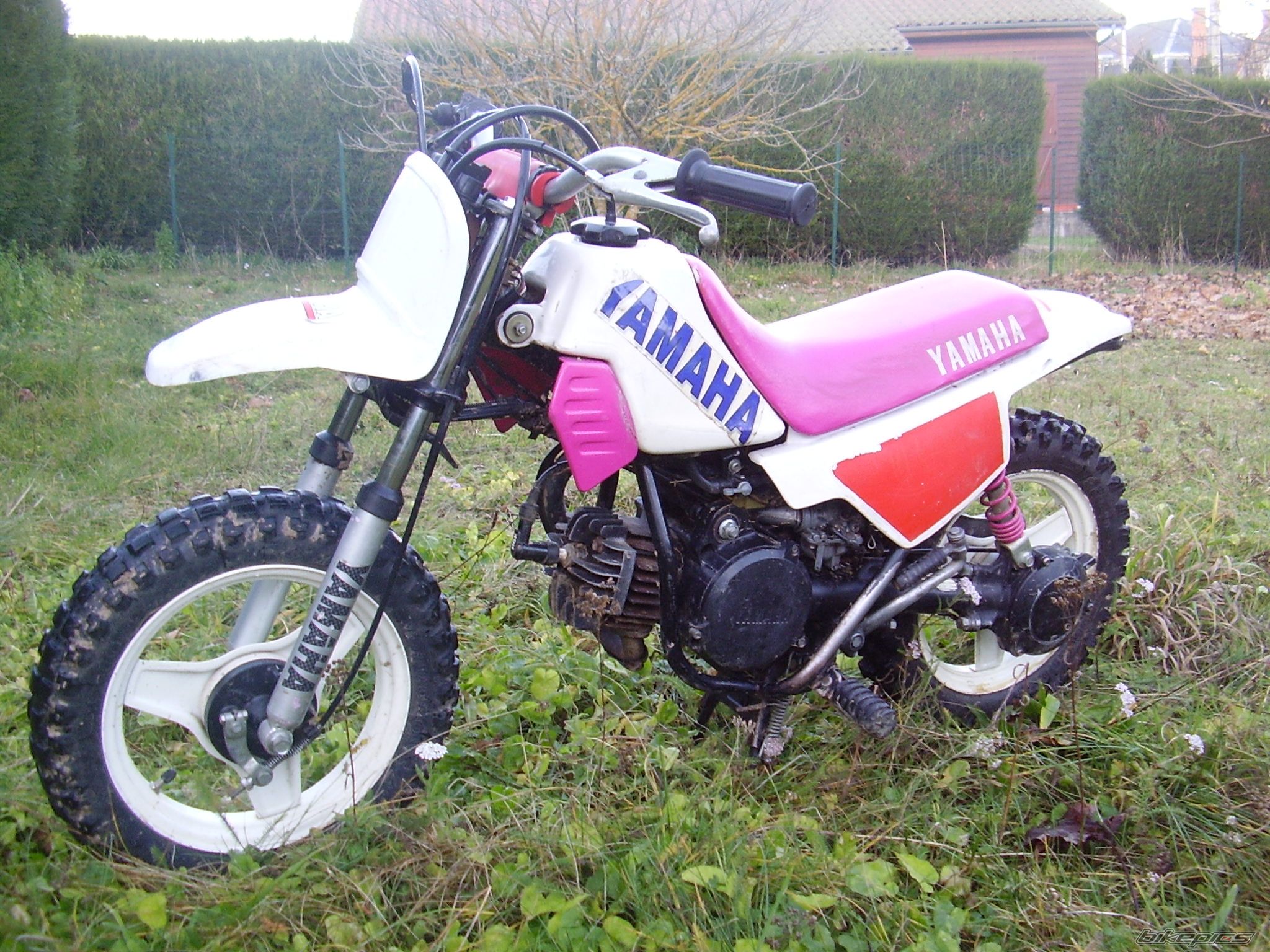 Photo 2316312