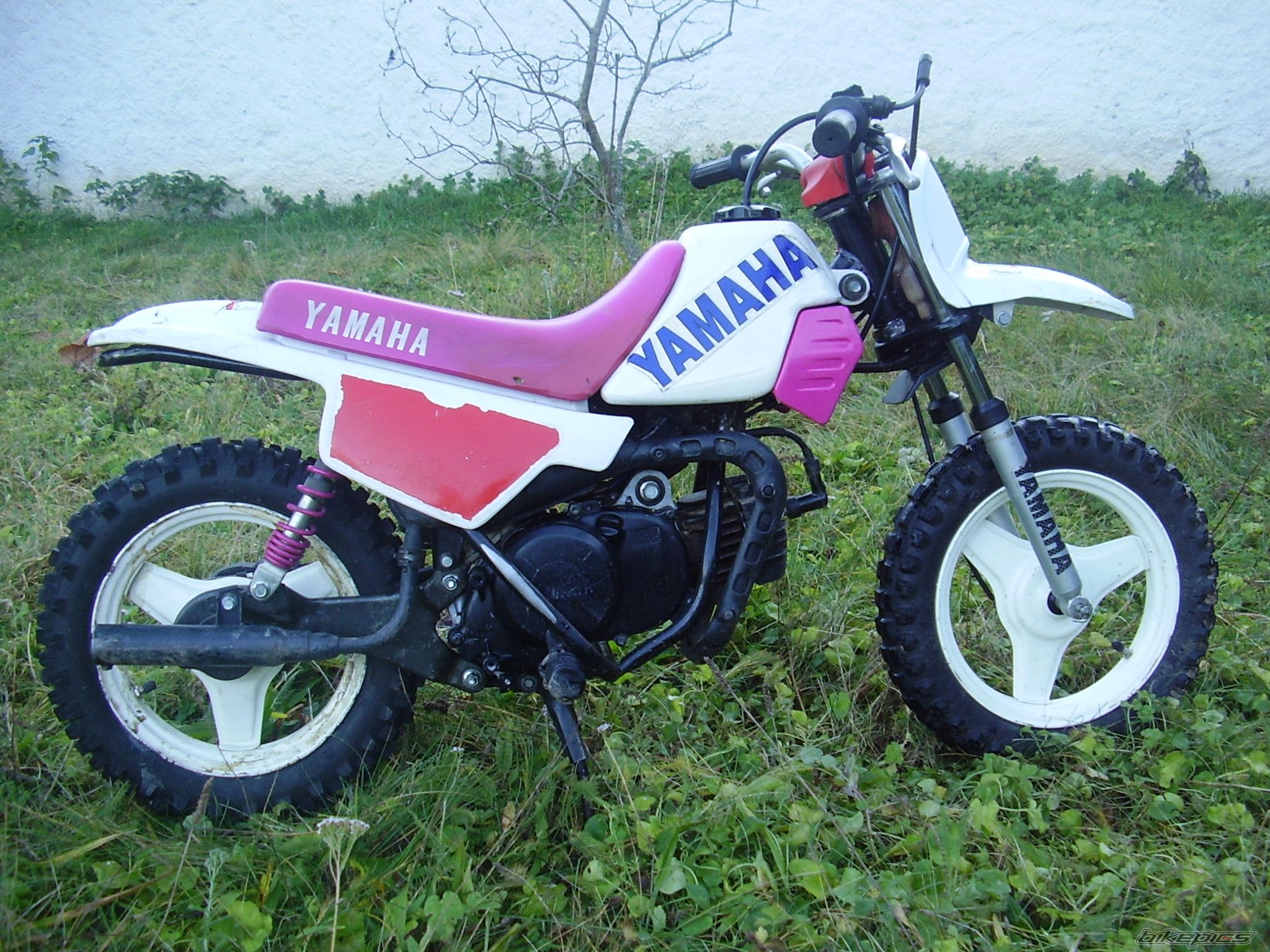 Photo 2316313