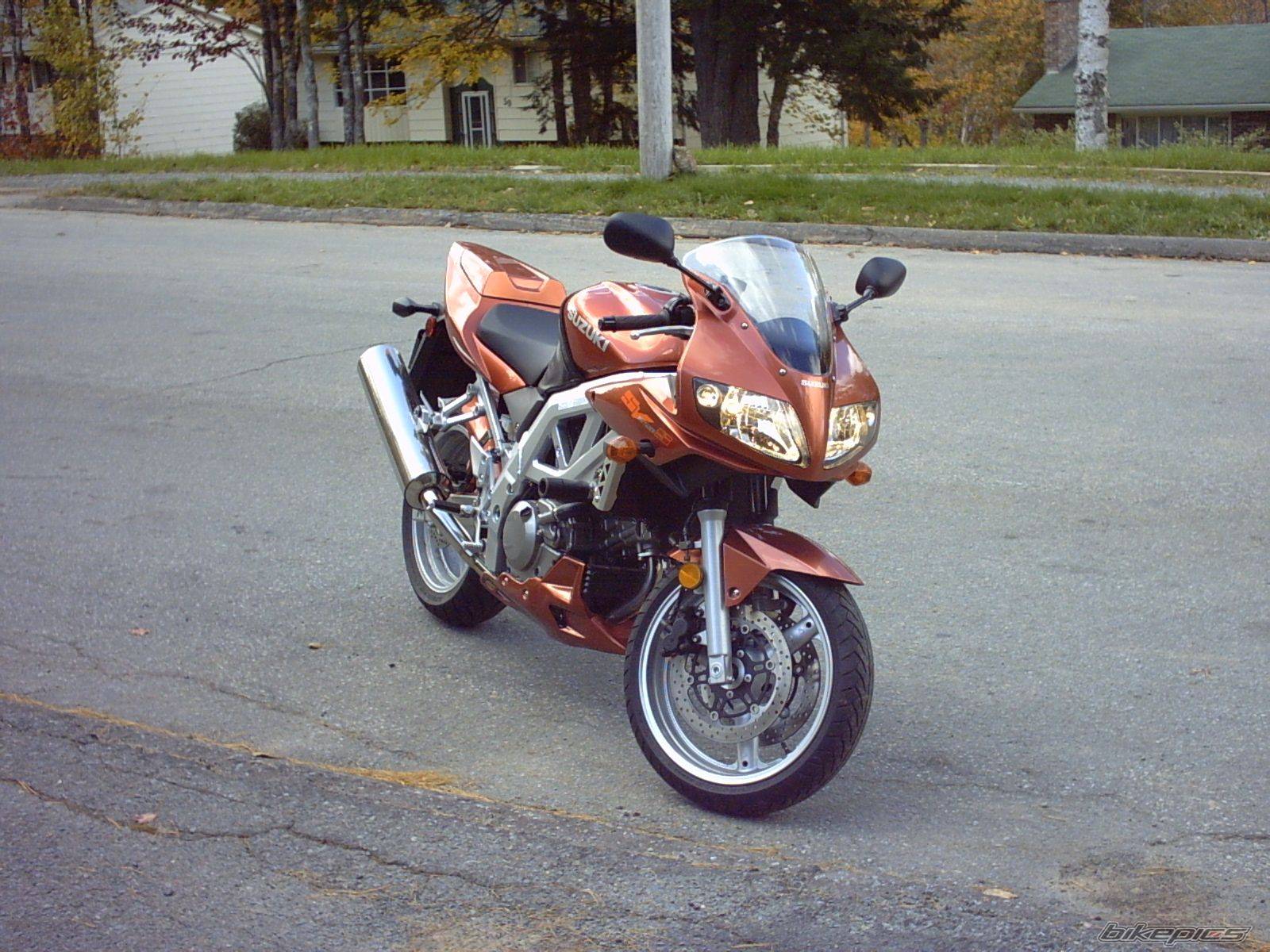Photo 231646