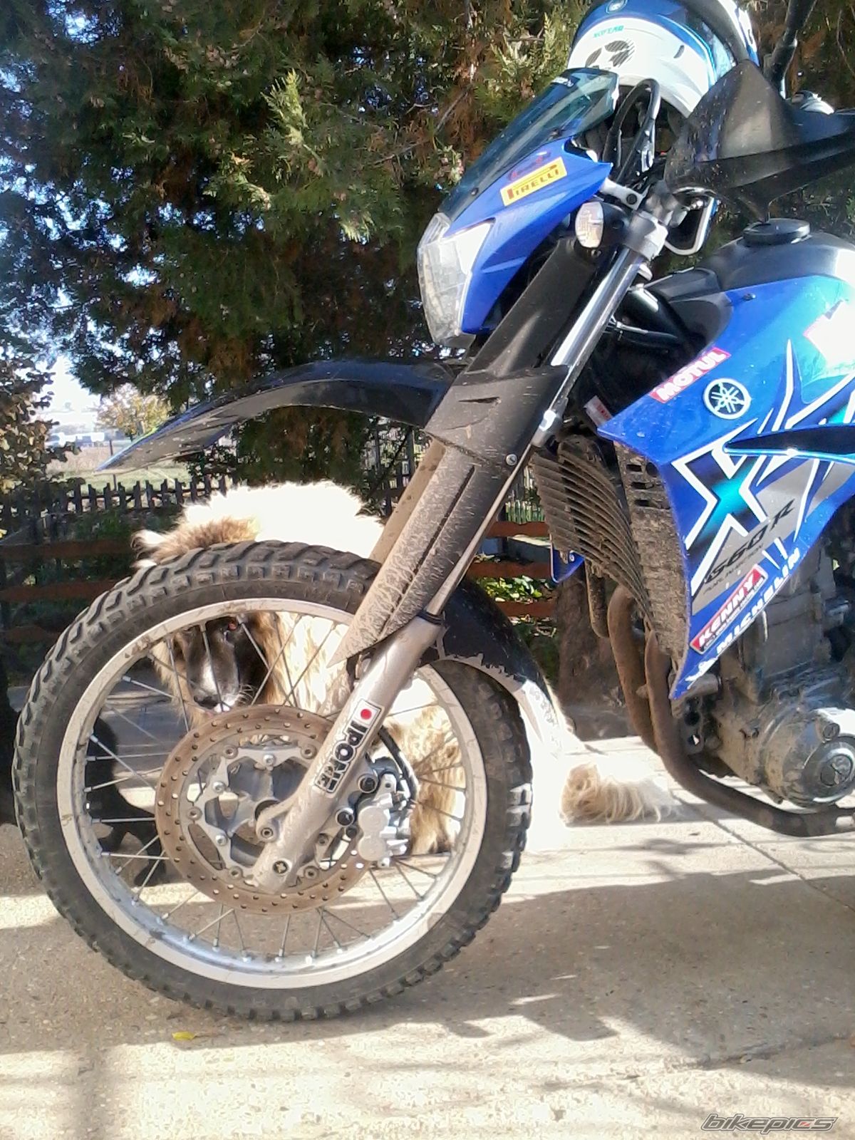 Photo 2316463