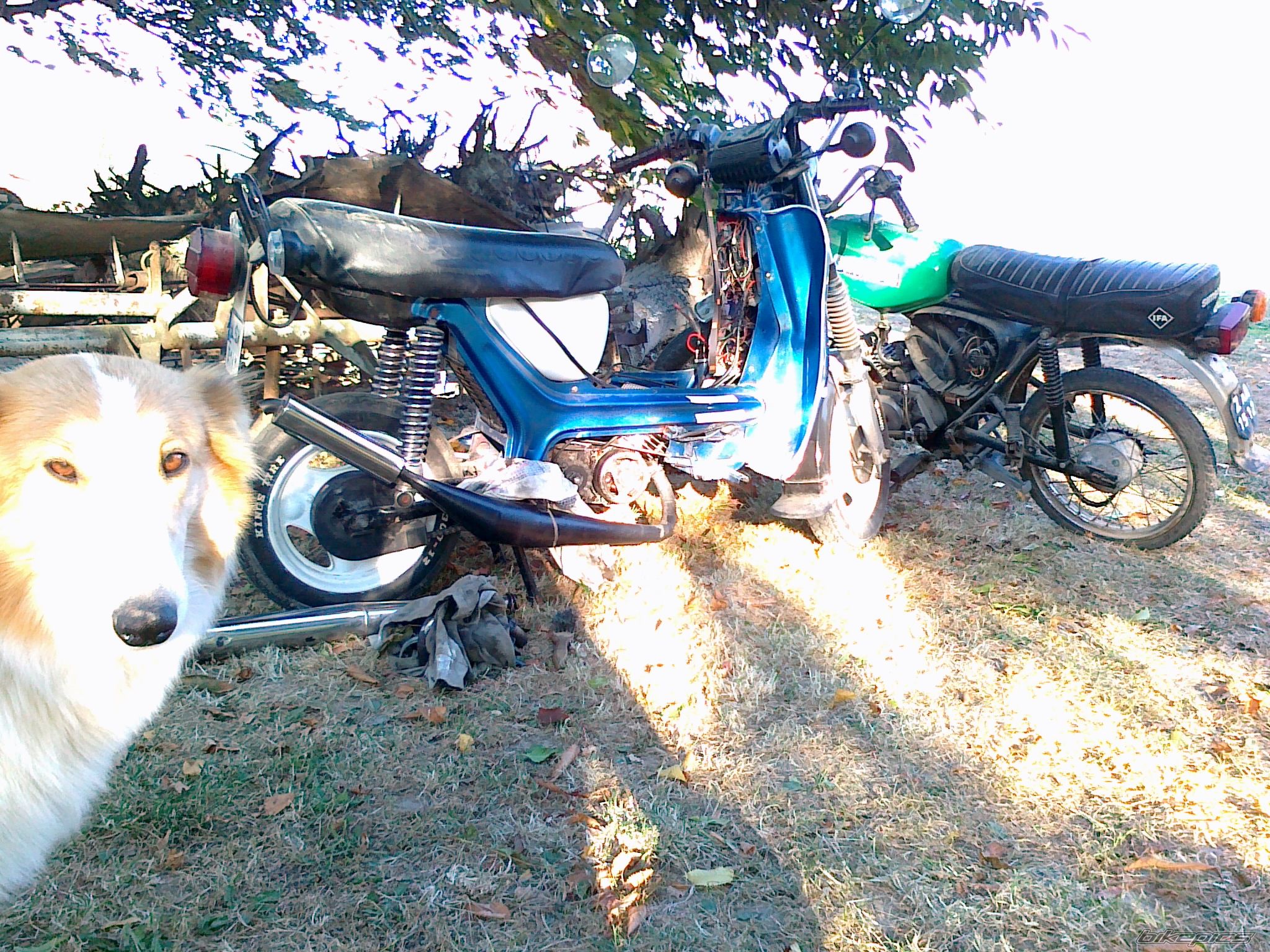 Photo 2316488