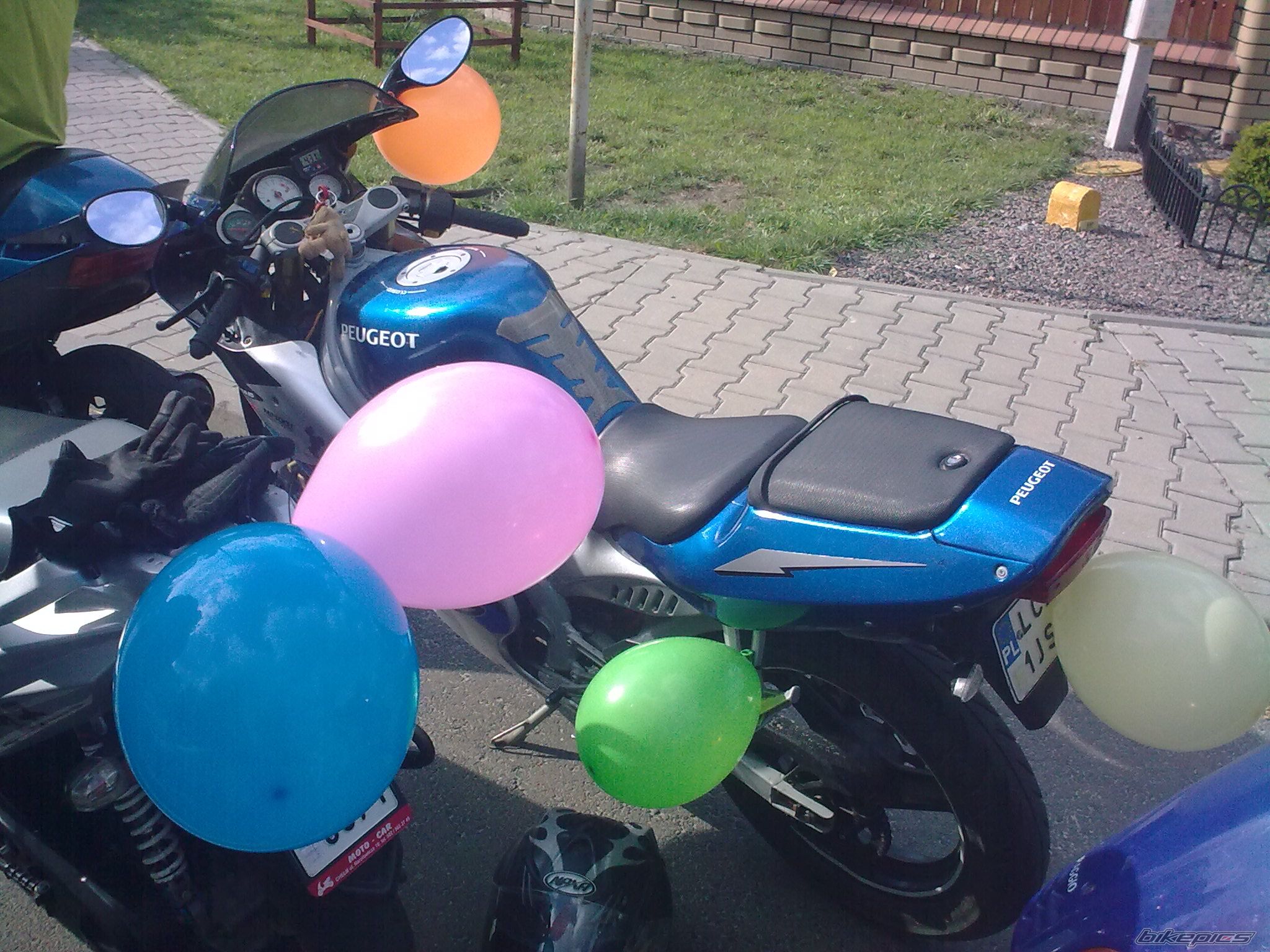 Photo 2316539