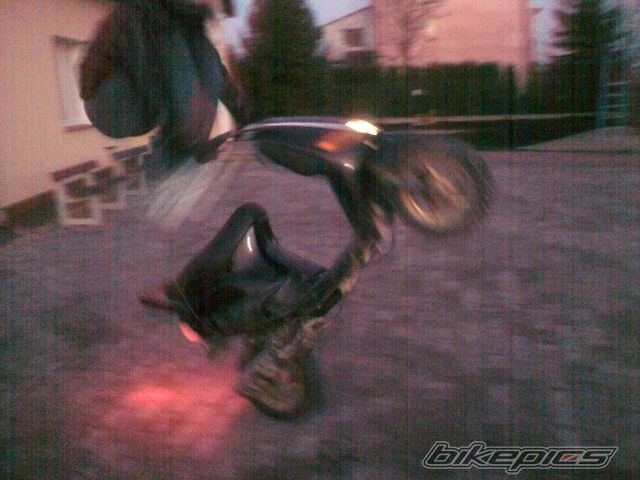 Photo 2316552