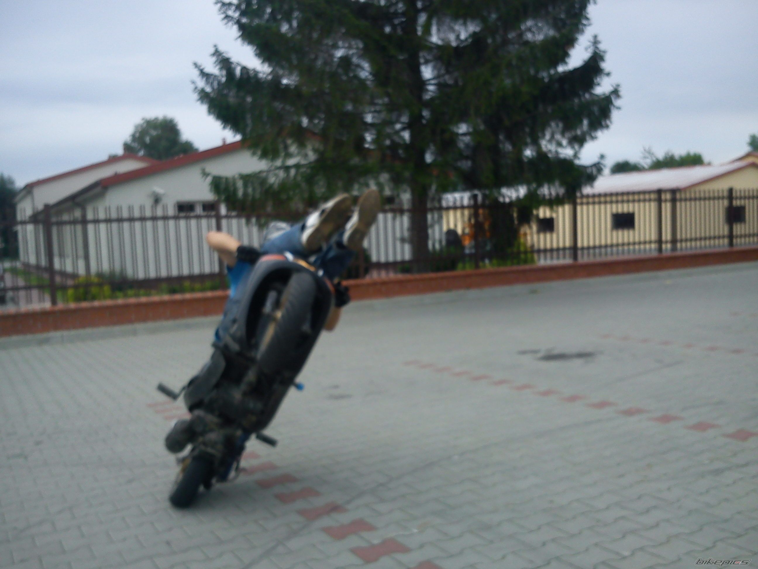 Photo 2316554