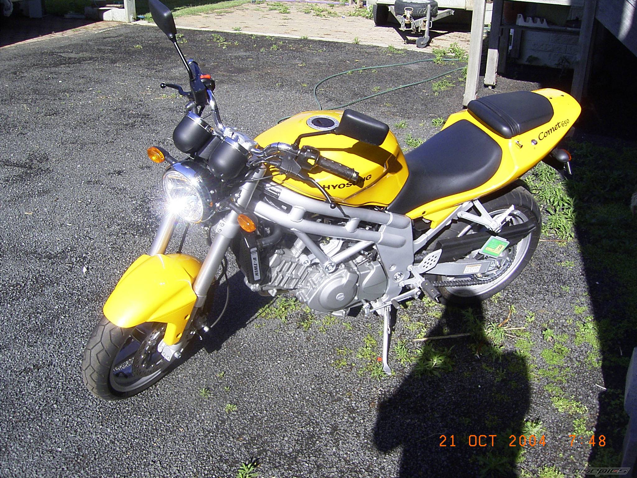 Photo 231668