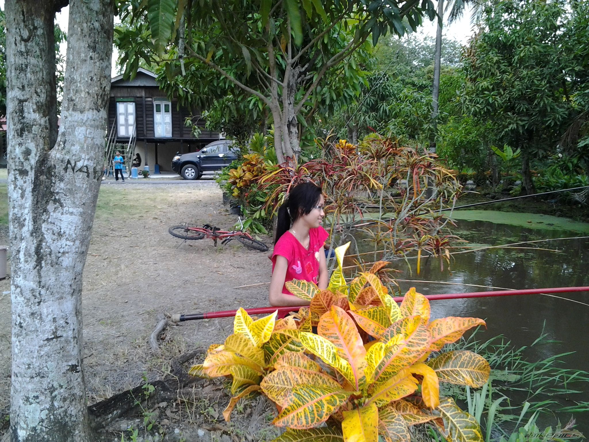 Photo 2316725