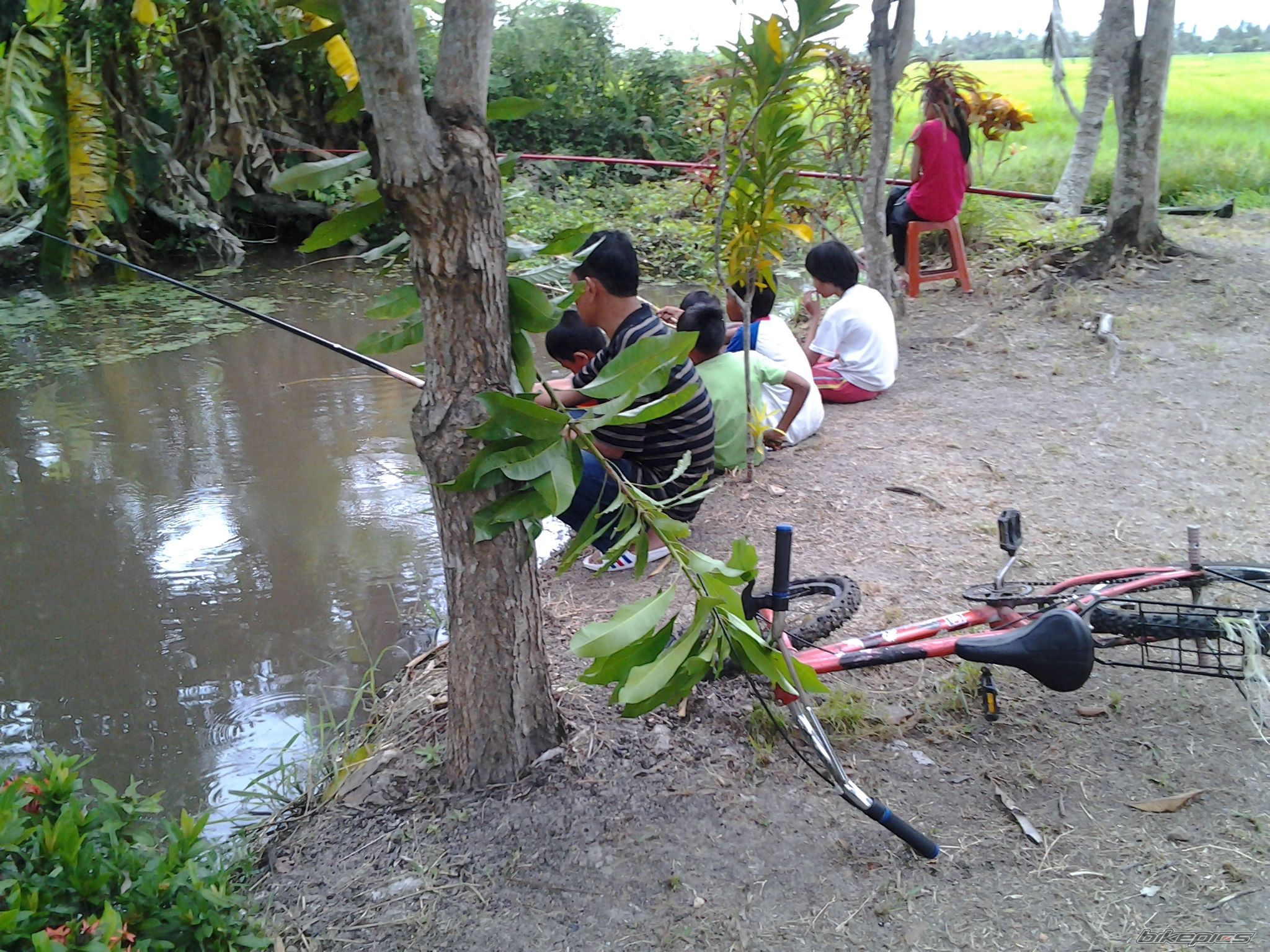 Photo 2316730
