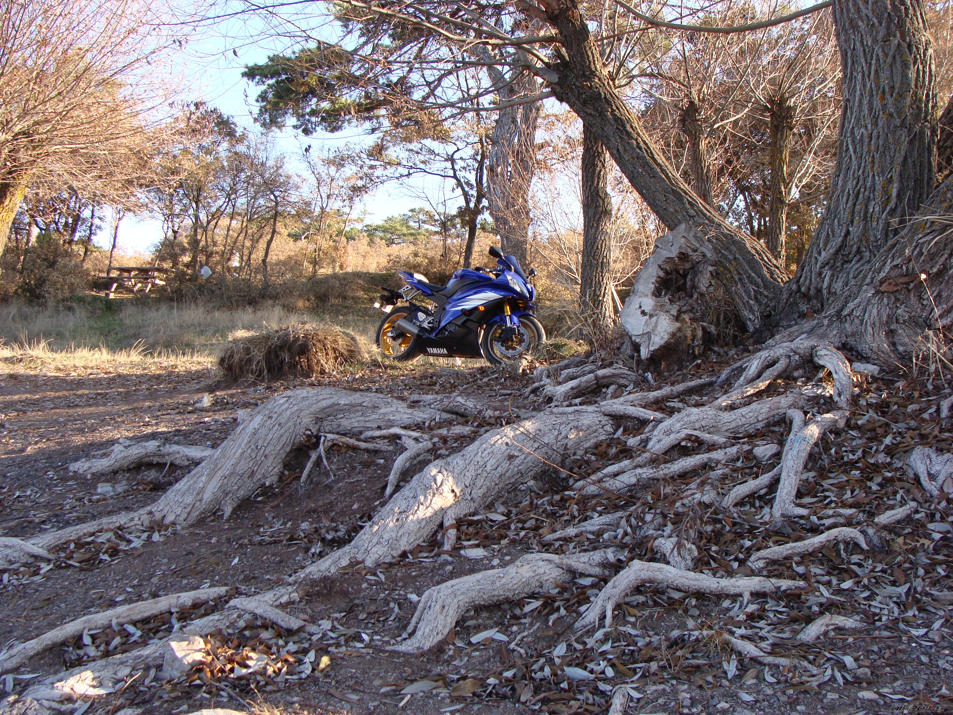 Bike Photo 2316841