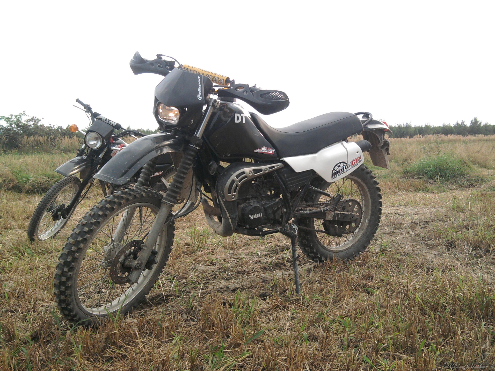 Photo 2316901