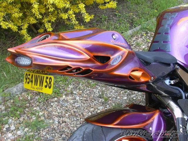 Photo 231699