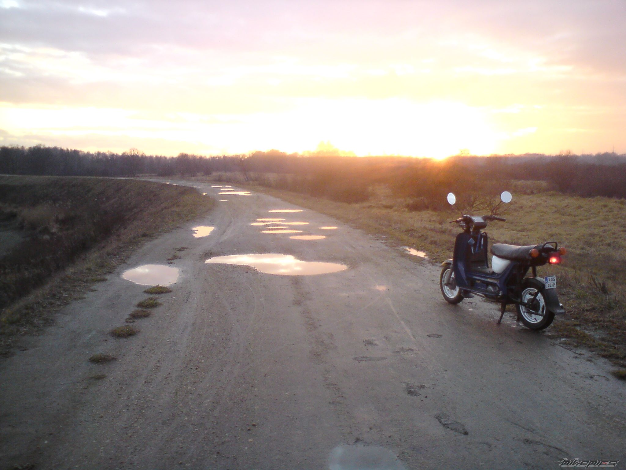 Photo 2317022