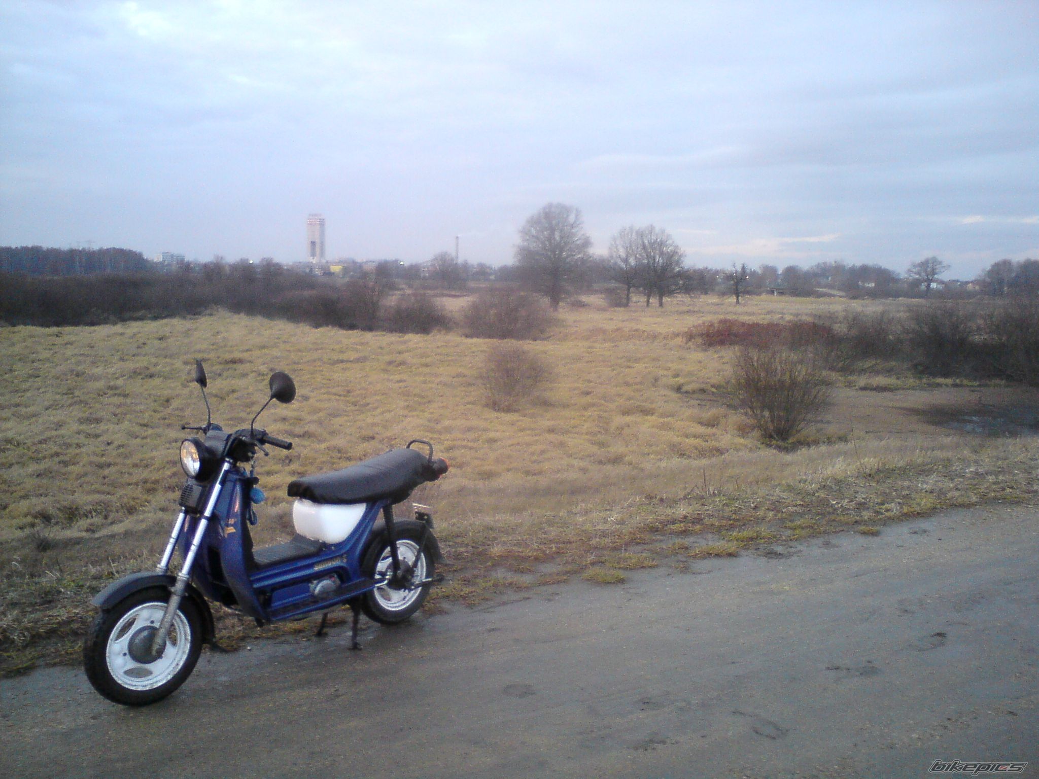 Photo 2317023