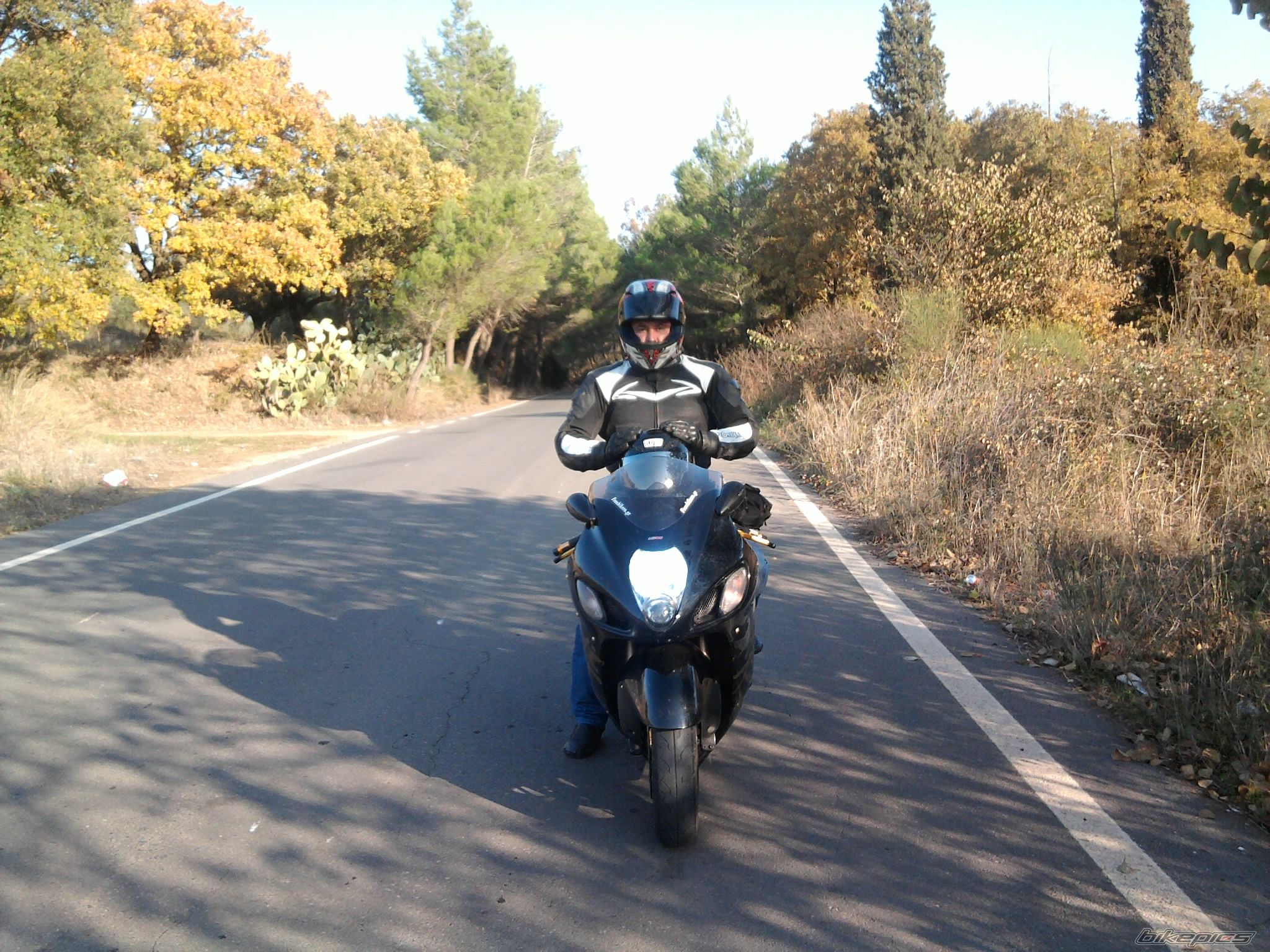 Photo 2317182