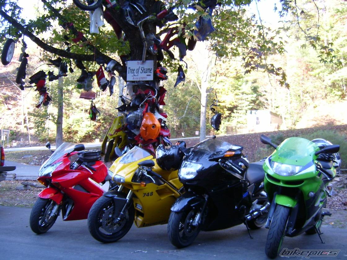 Photo 231723