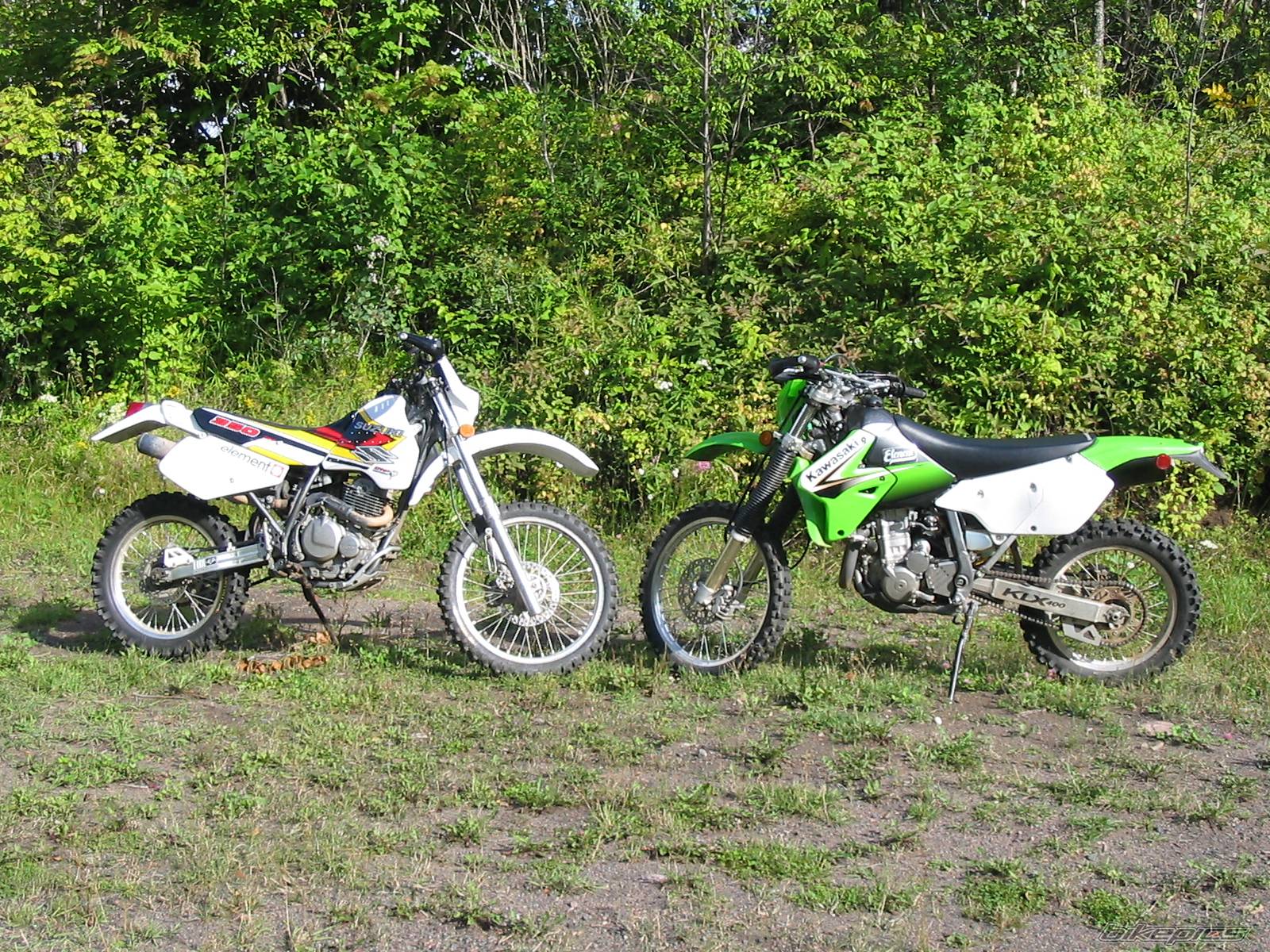 Photo 231728
