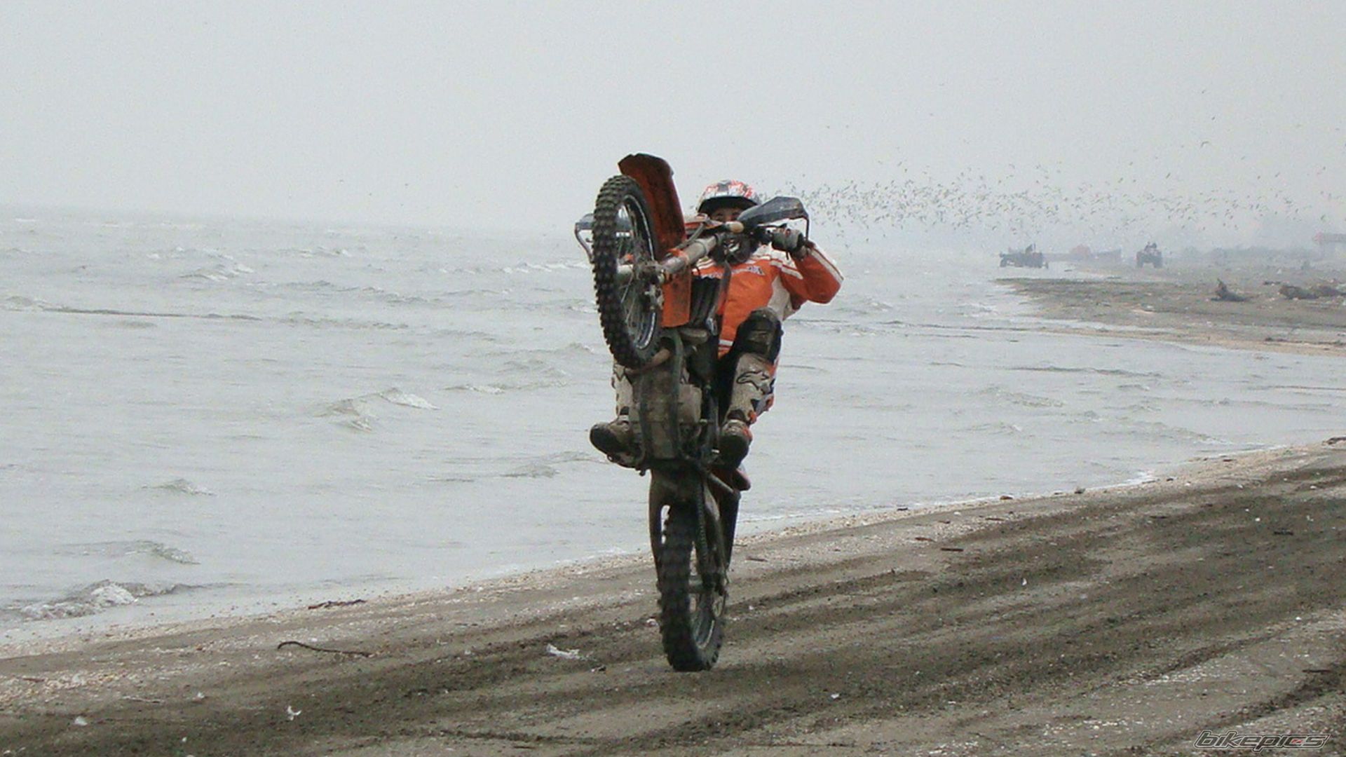Photo 2317290