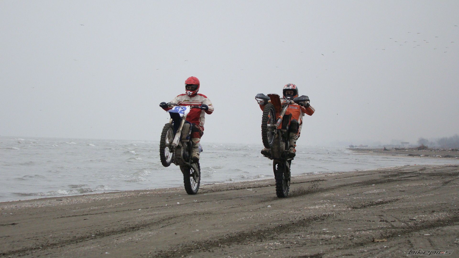 Photo 2317291