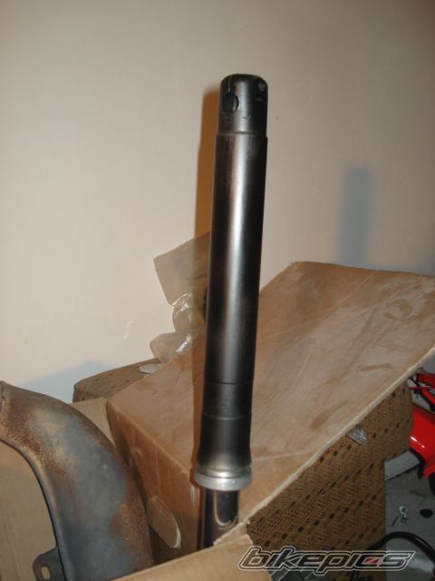 Photo 2317361