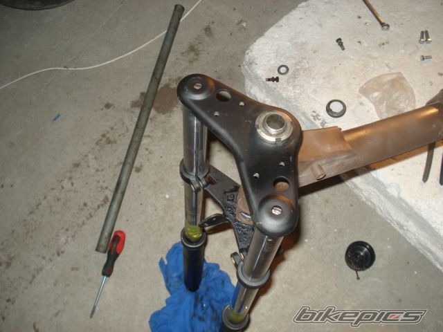 Photo 2317371