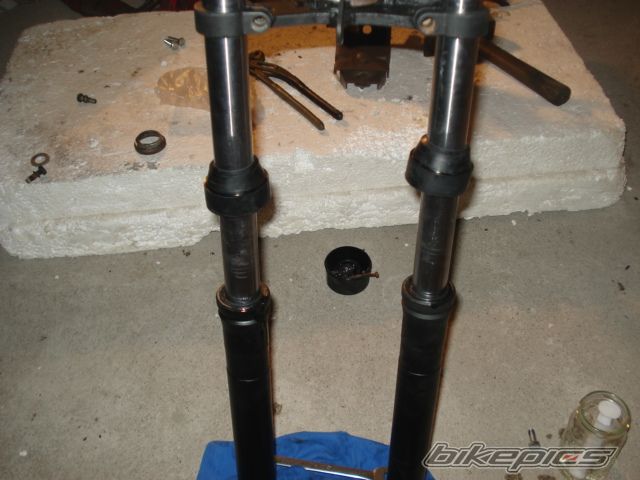 Photo 2317373