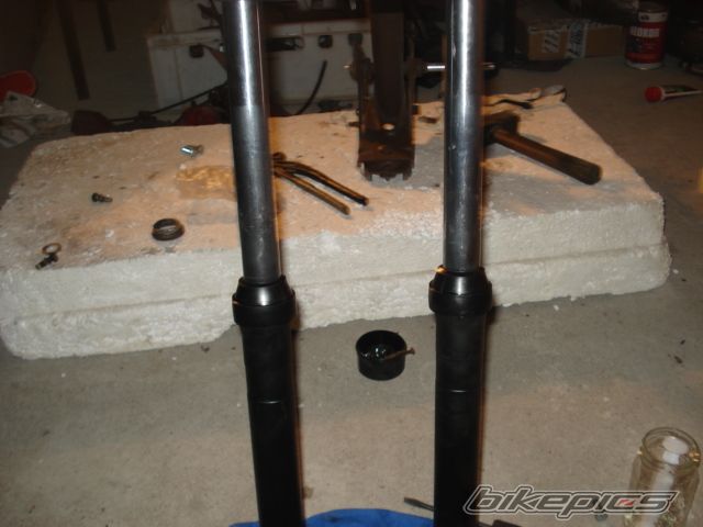 Photo 2317374