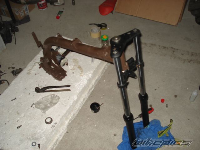 Photo 2317375