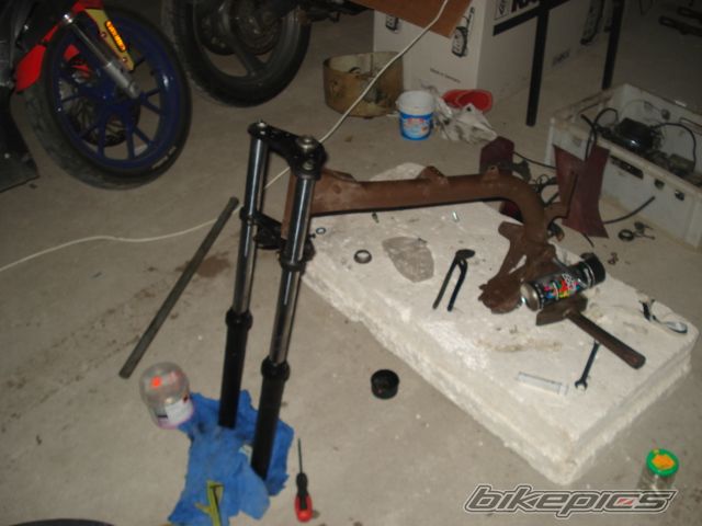 Photo 2317377