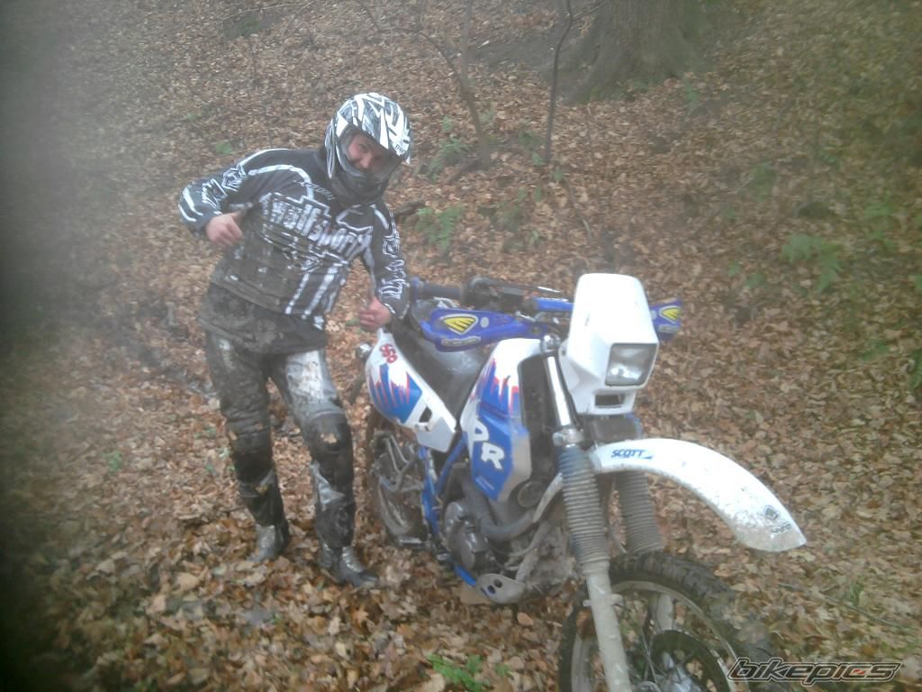Photo 2317384