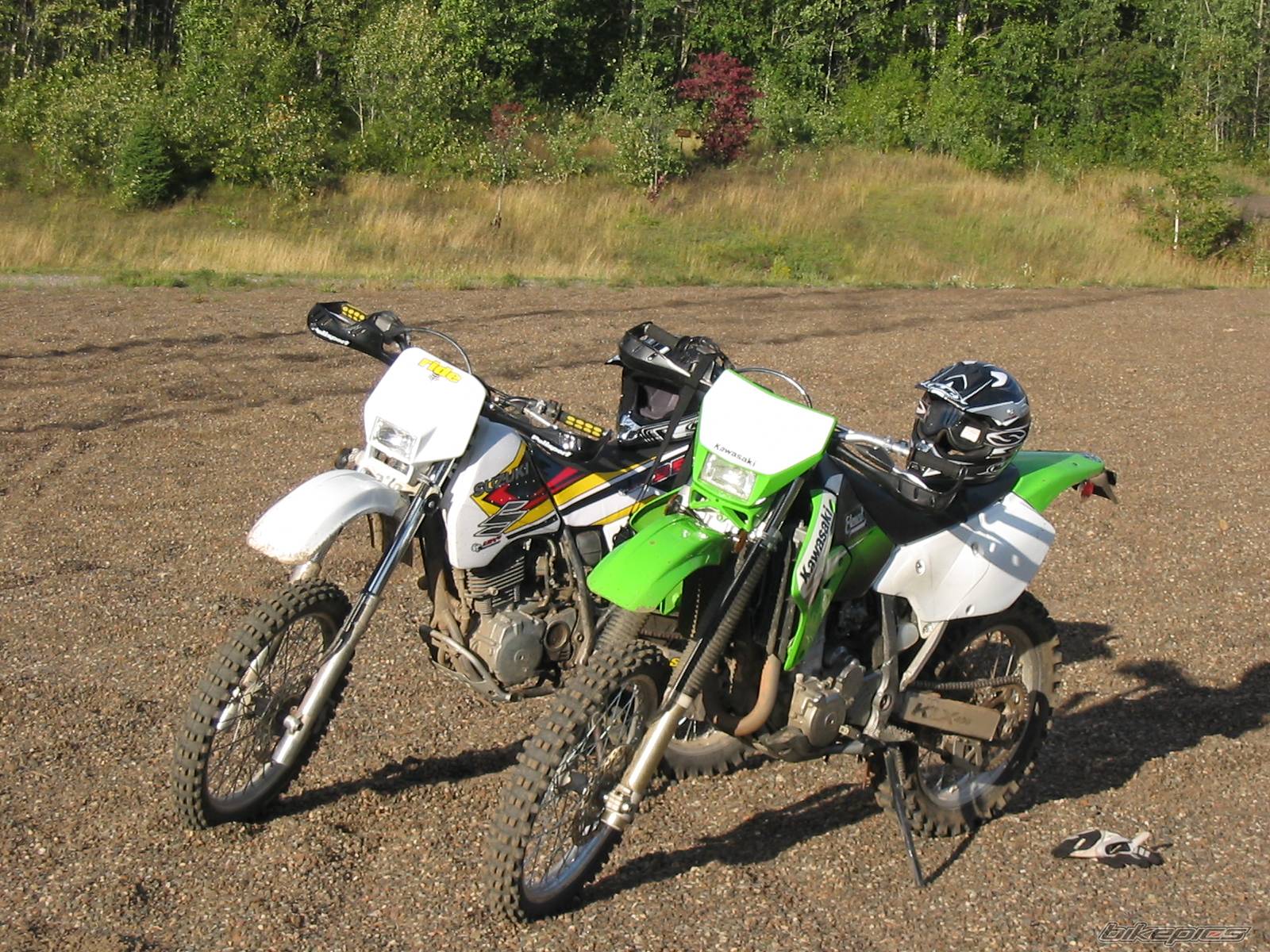 Photo 231741