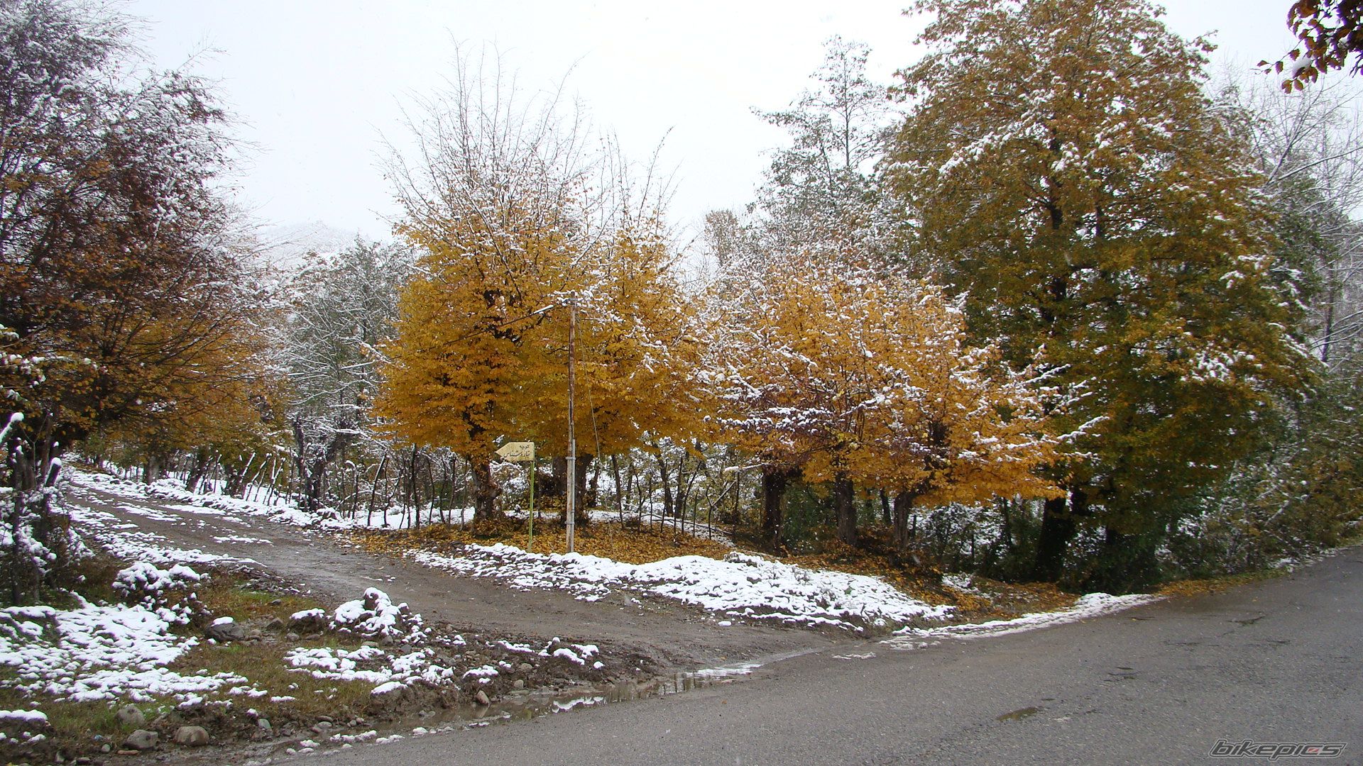 Photo 2317597