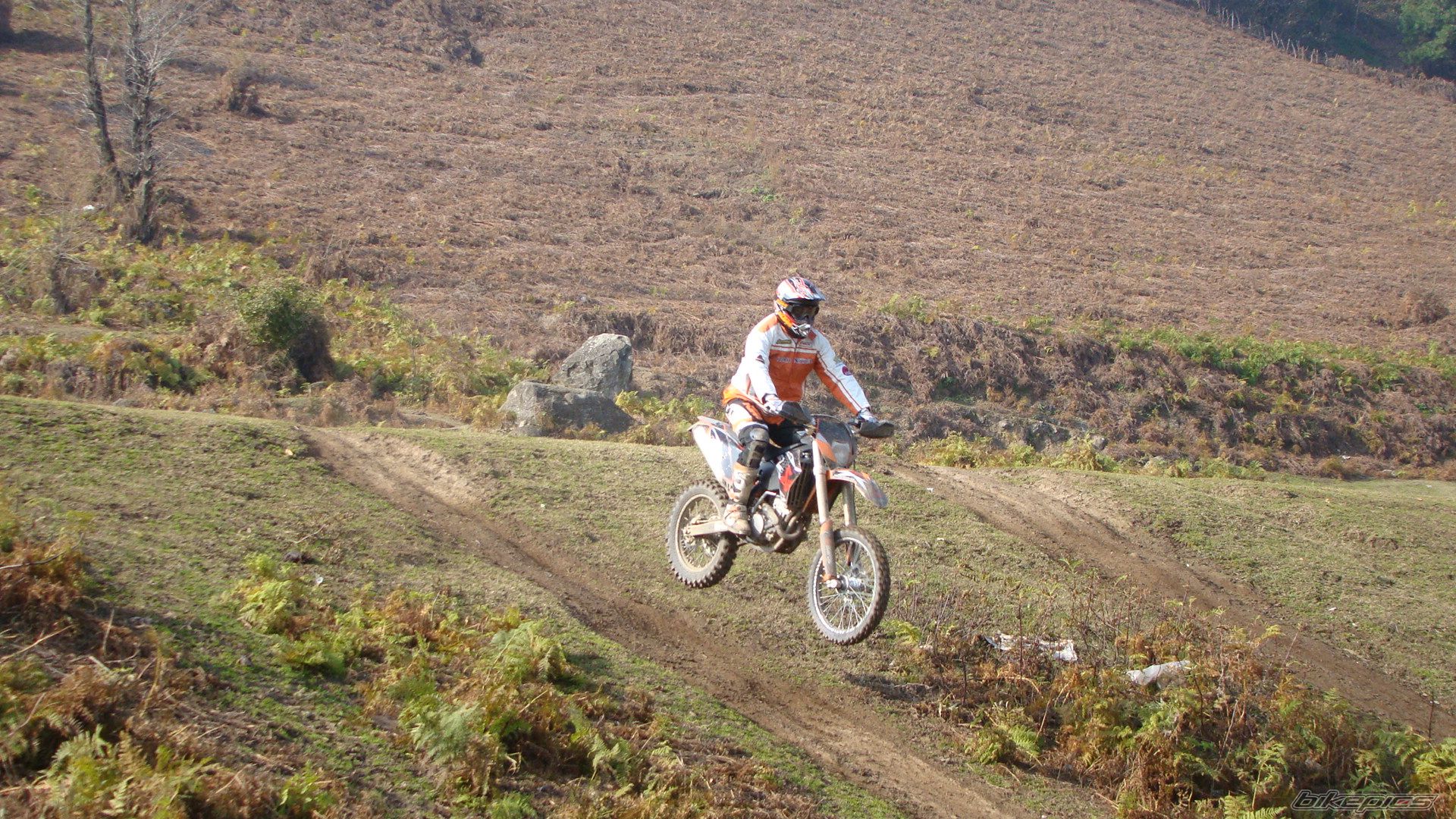Photo 2317599