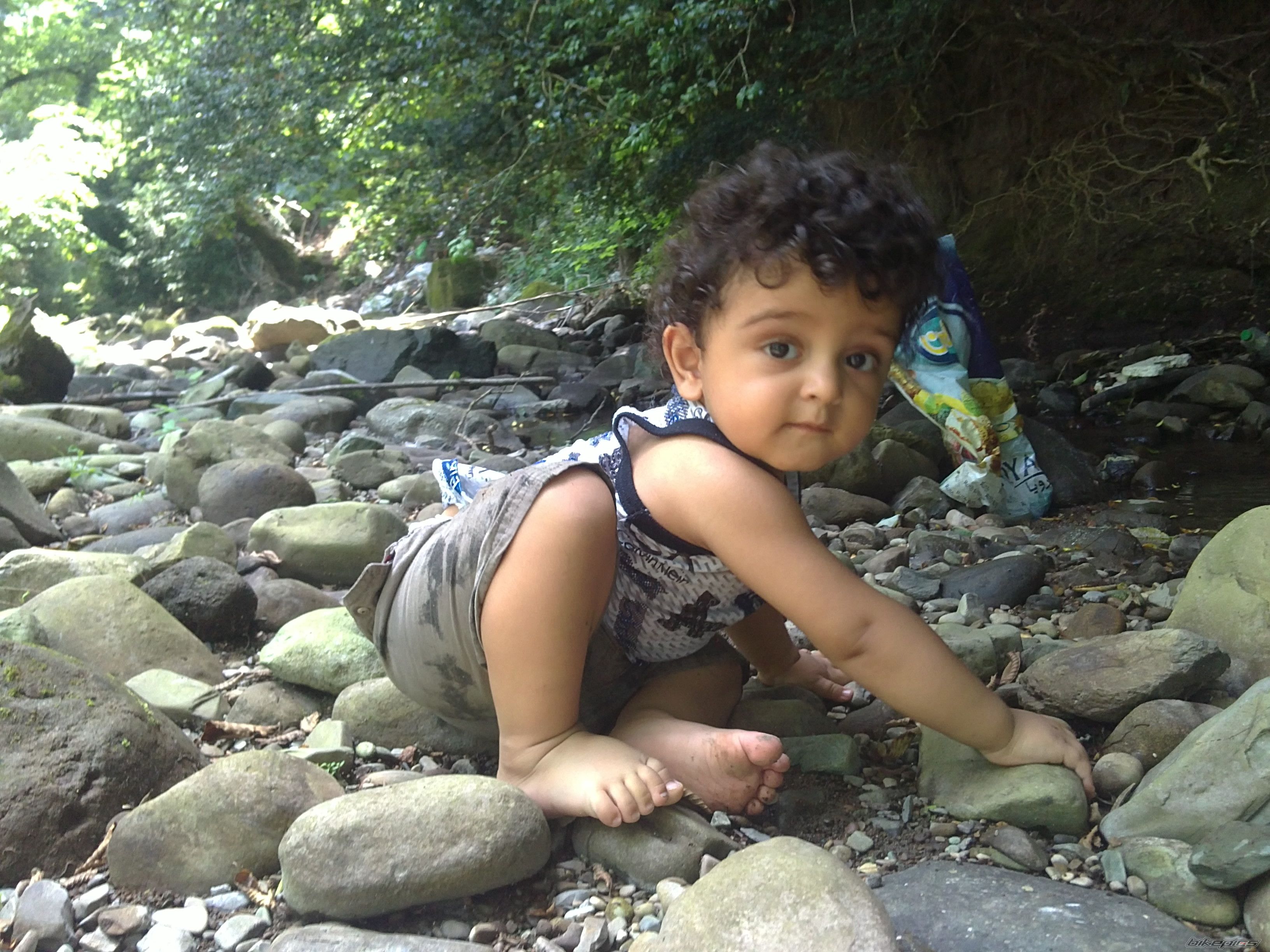 Photo 2317790