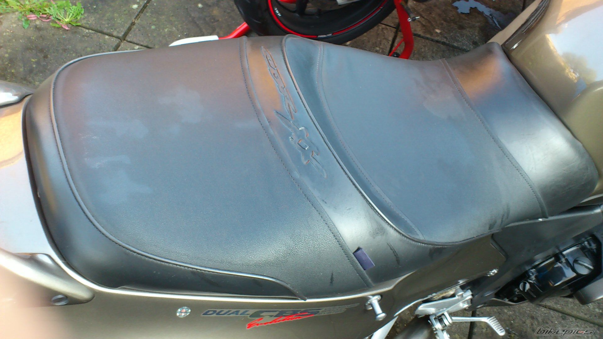 Photo 2317793