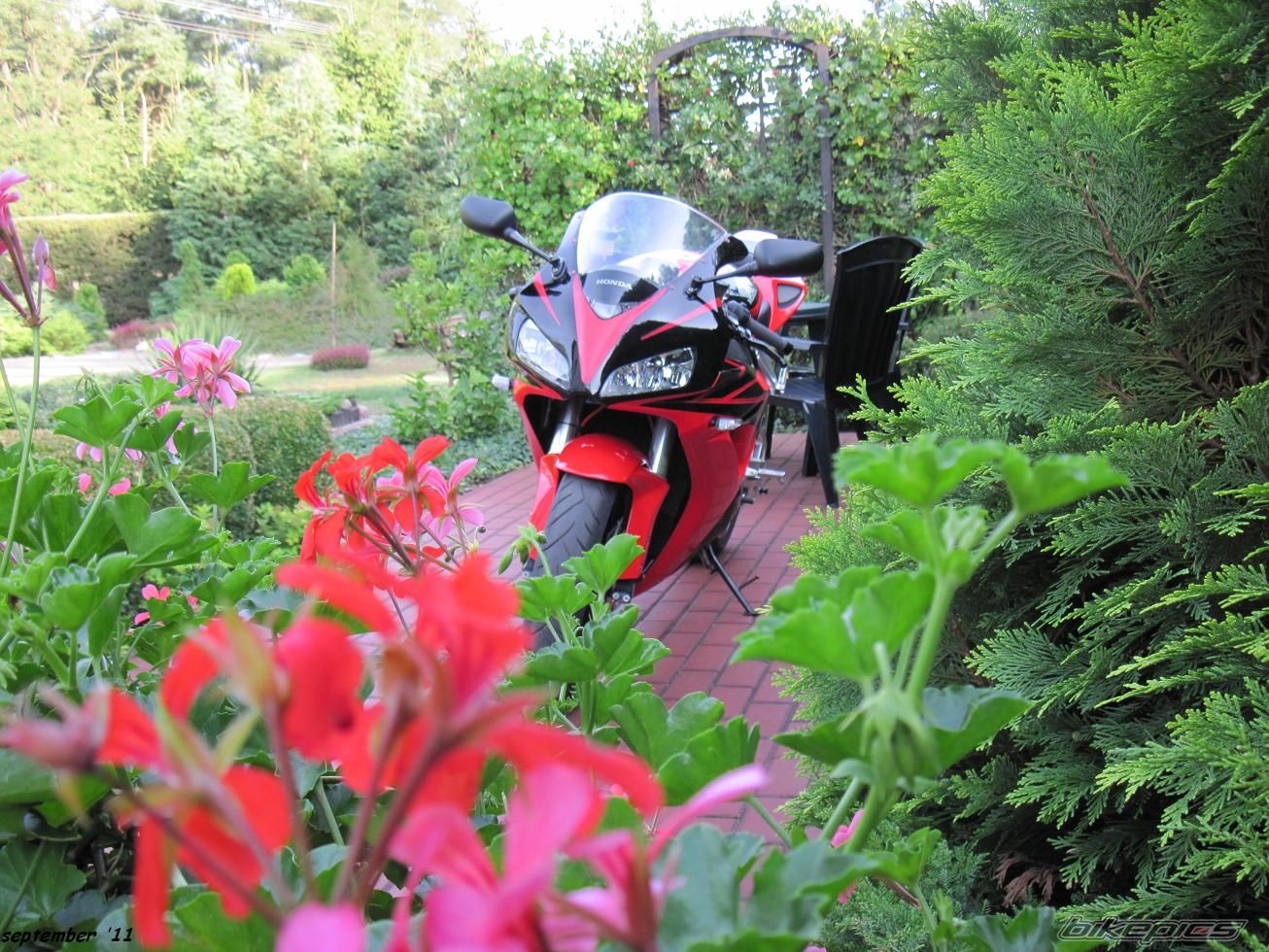 Photo 2317815