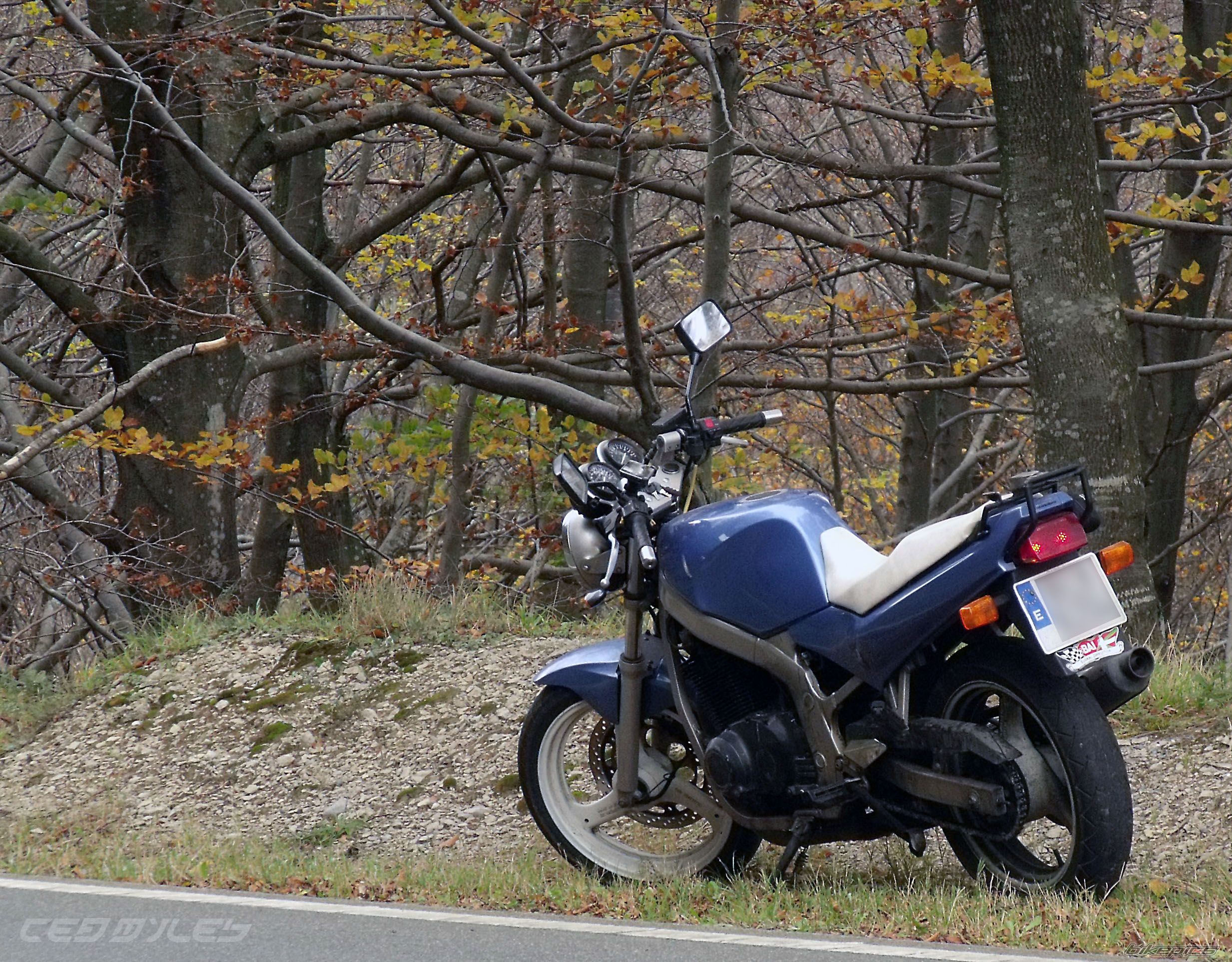Bike Photo 2317957