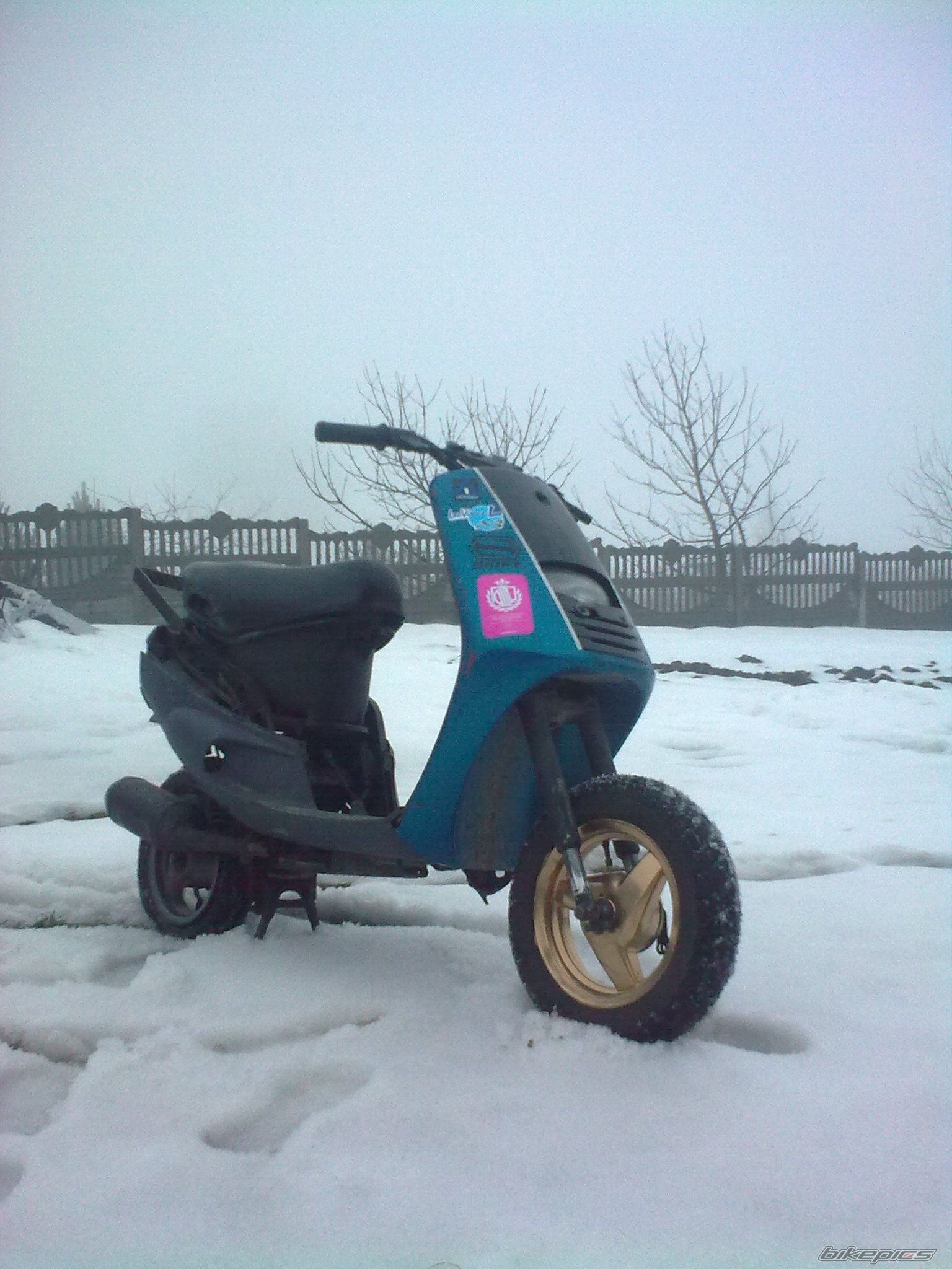 Photo 2318099
