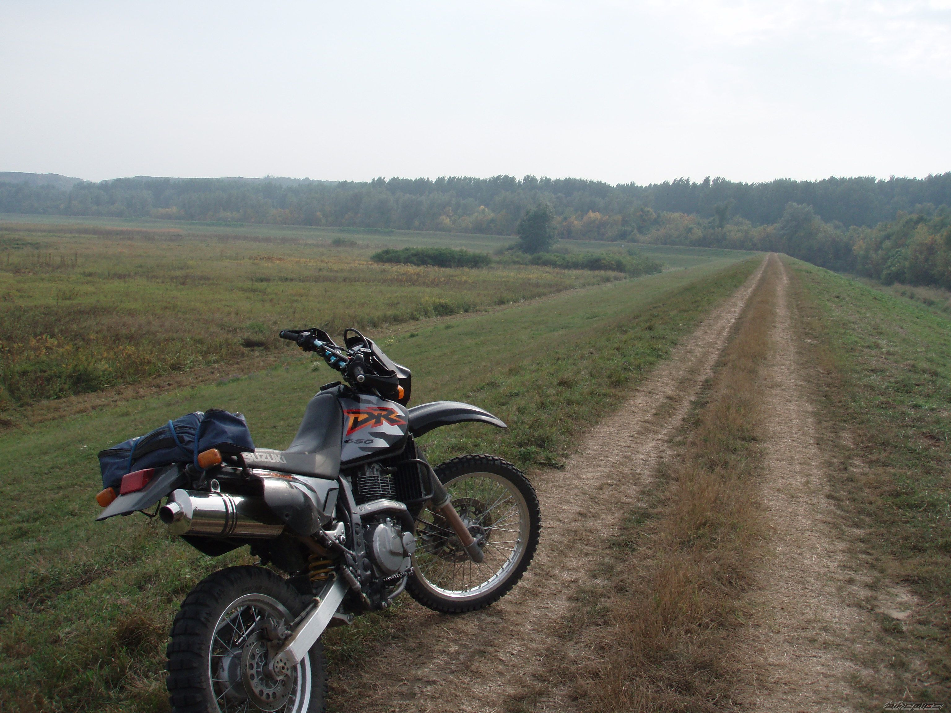 Photo 2318103