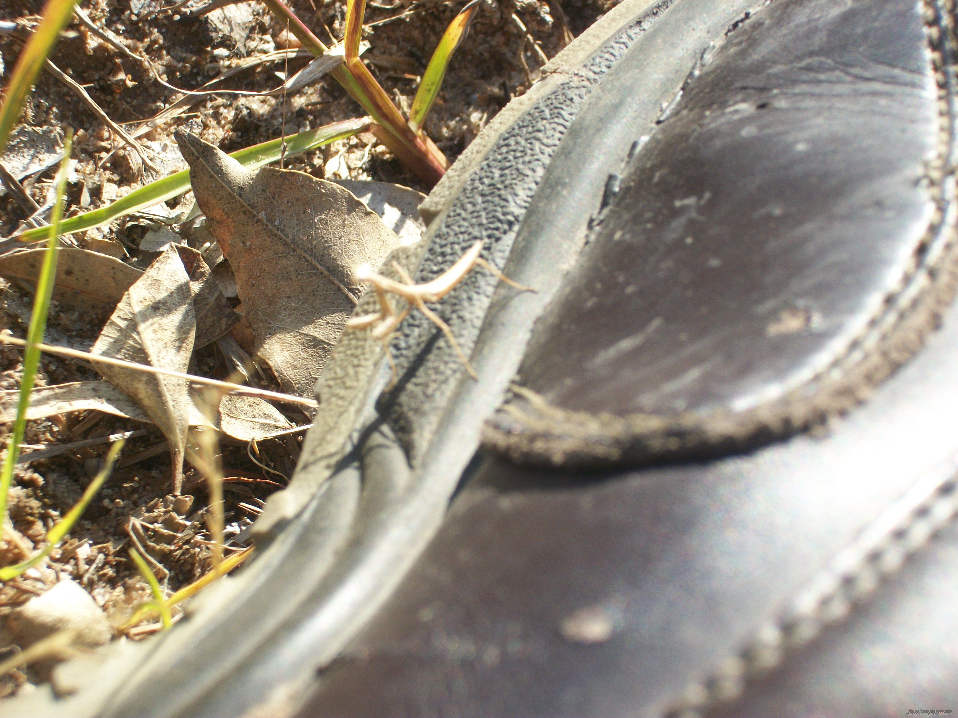Photo 2318161