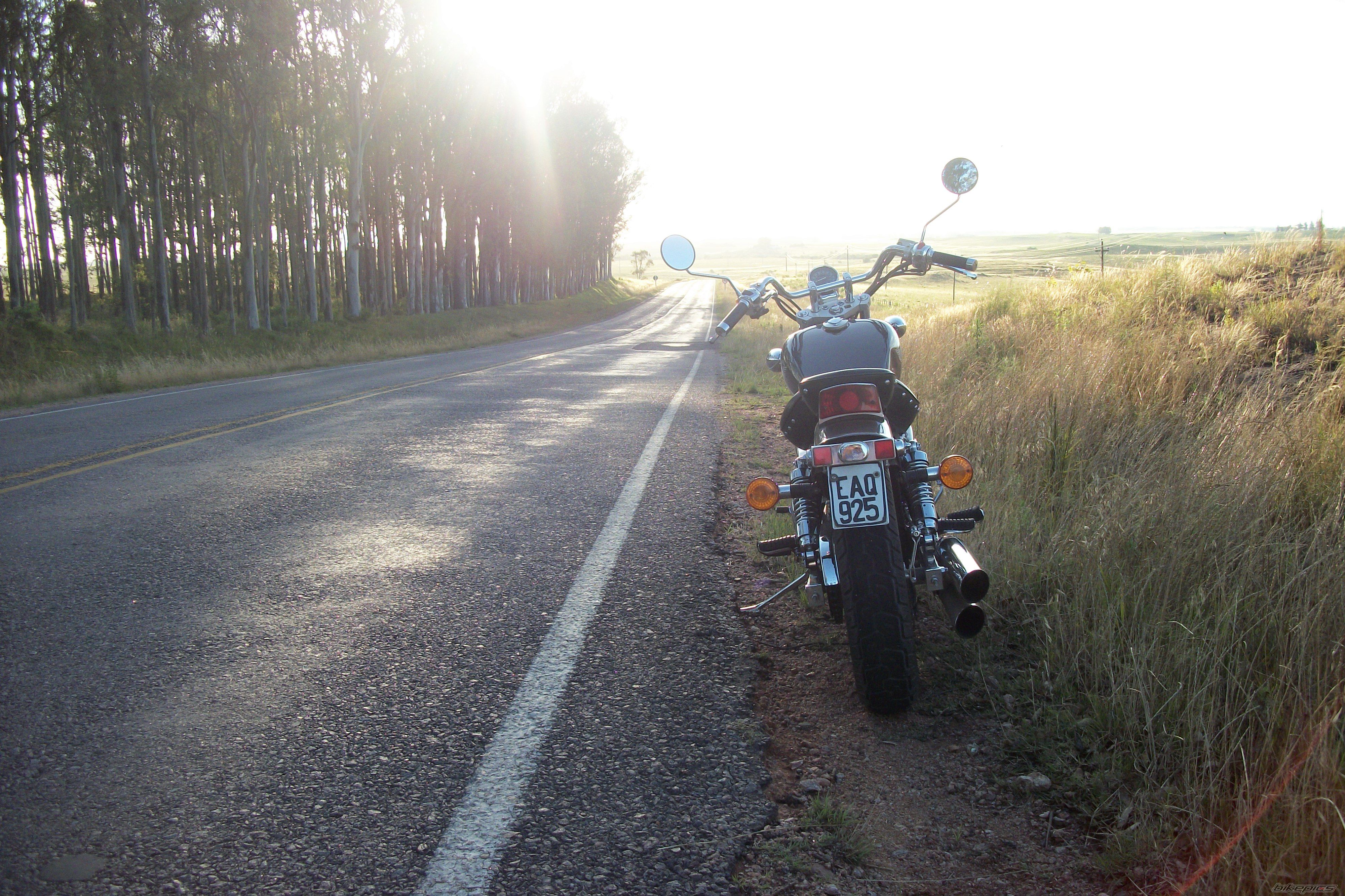 Photo 2318167