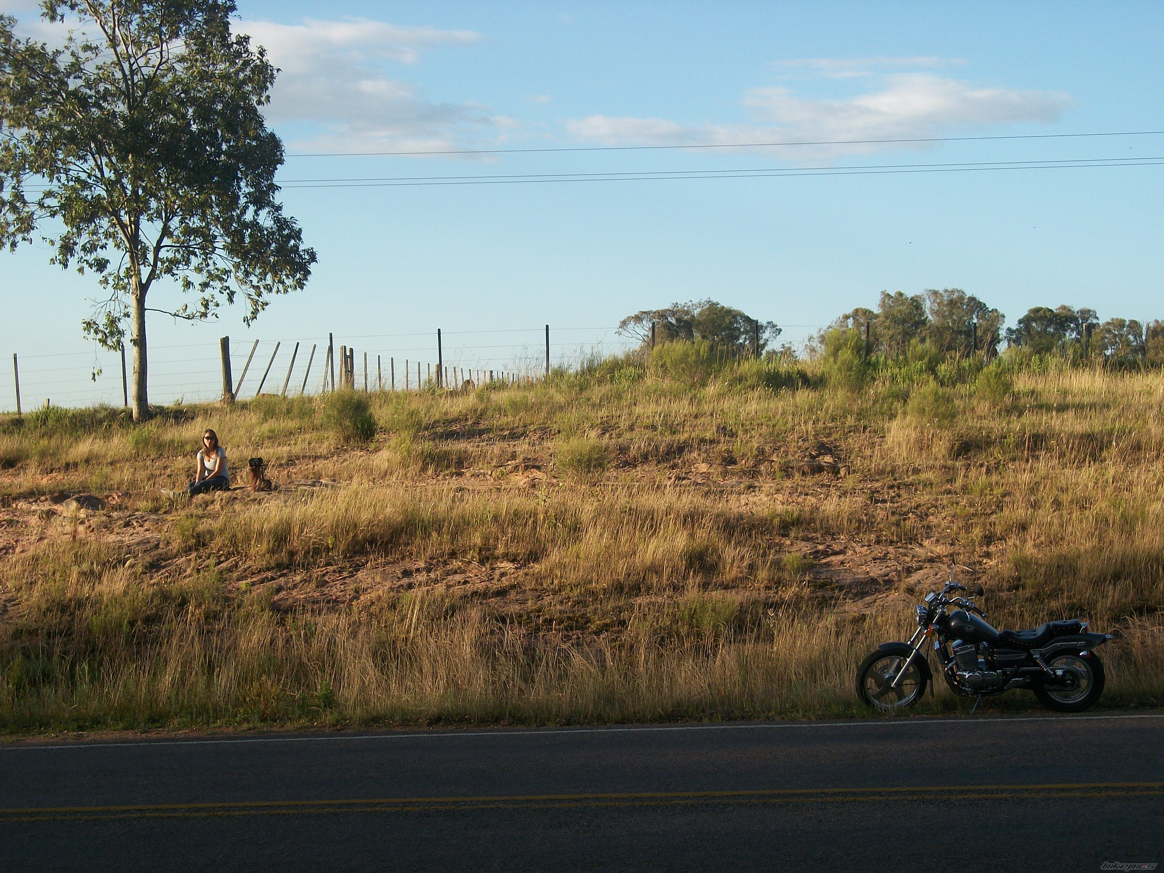 Photo 2318170