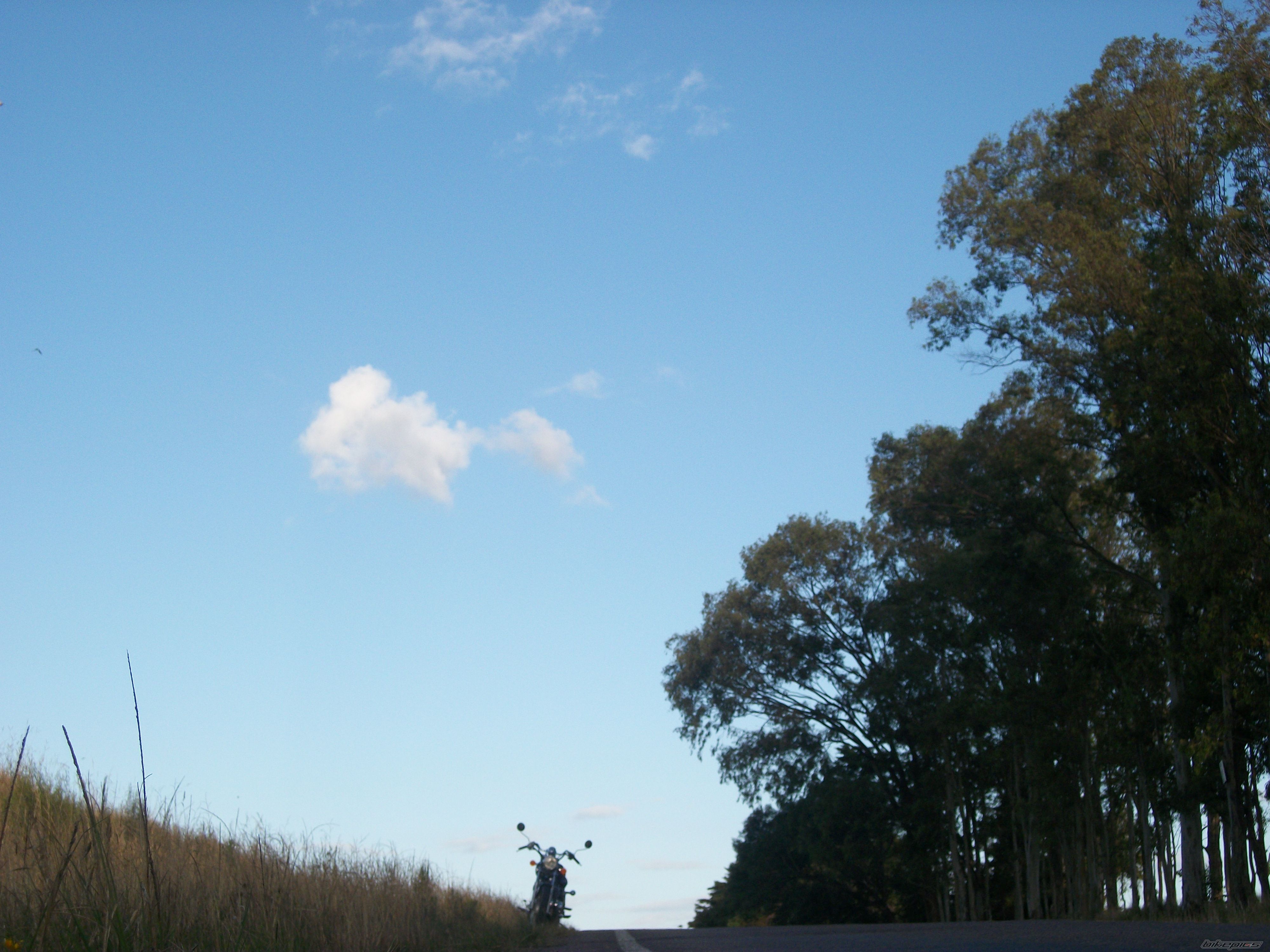 Photo 2318173