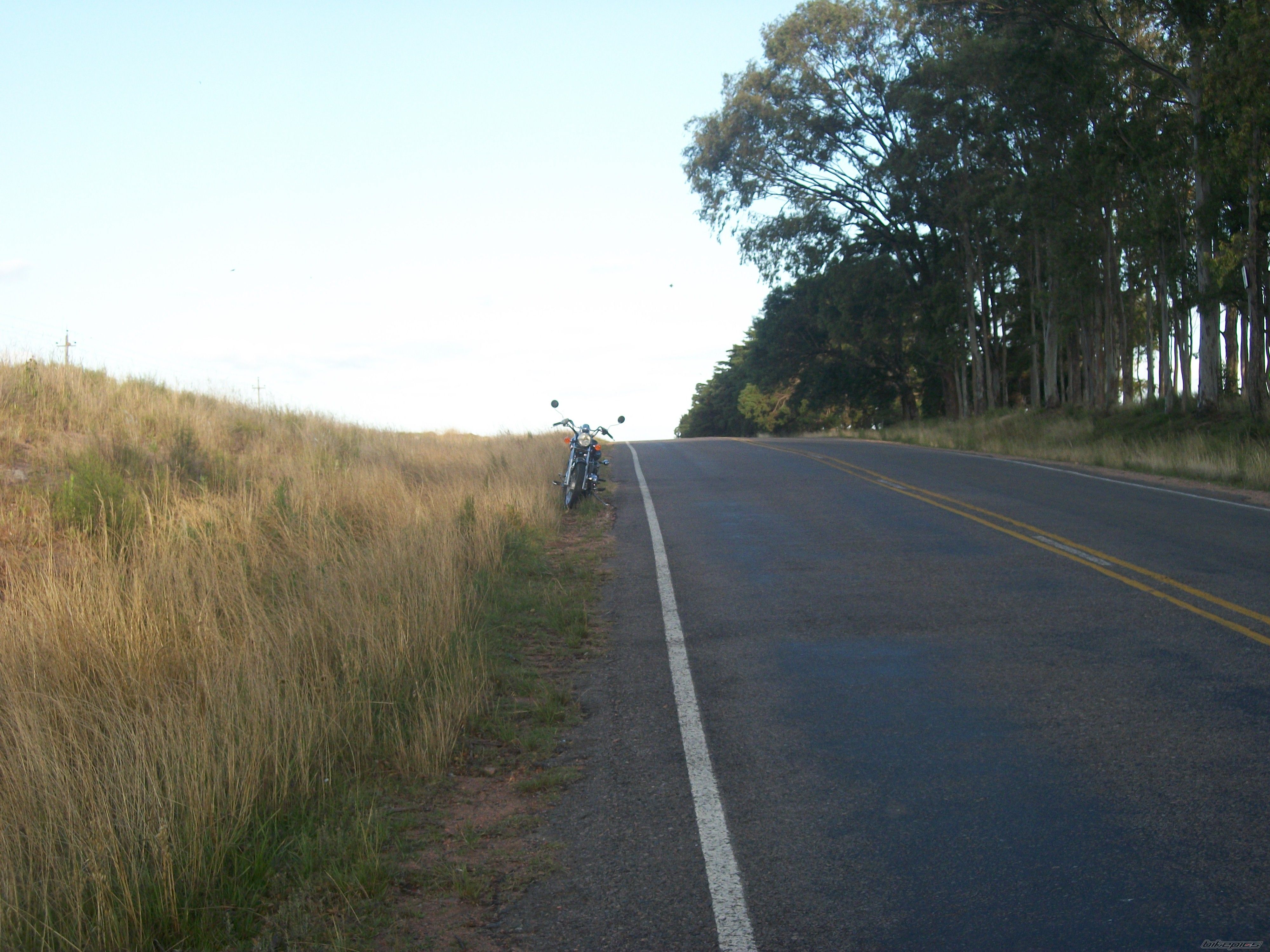 Photo 2318174