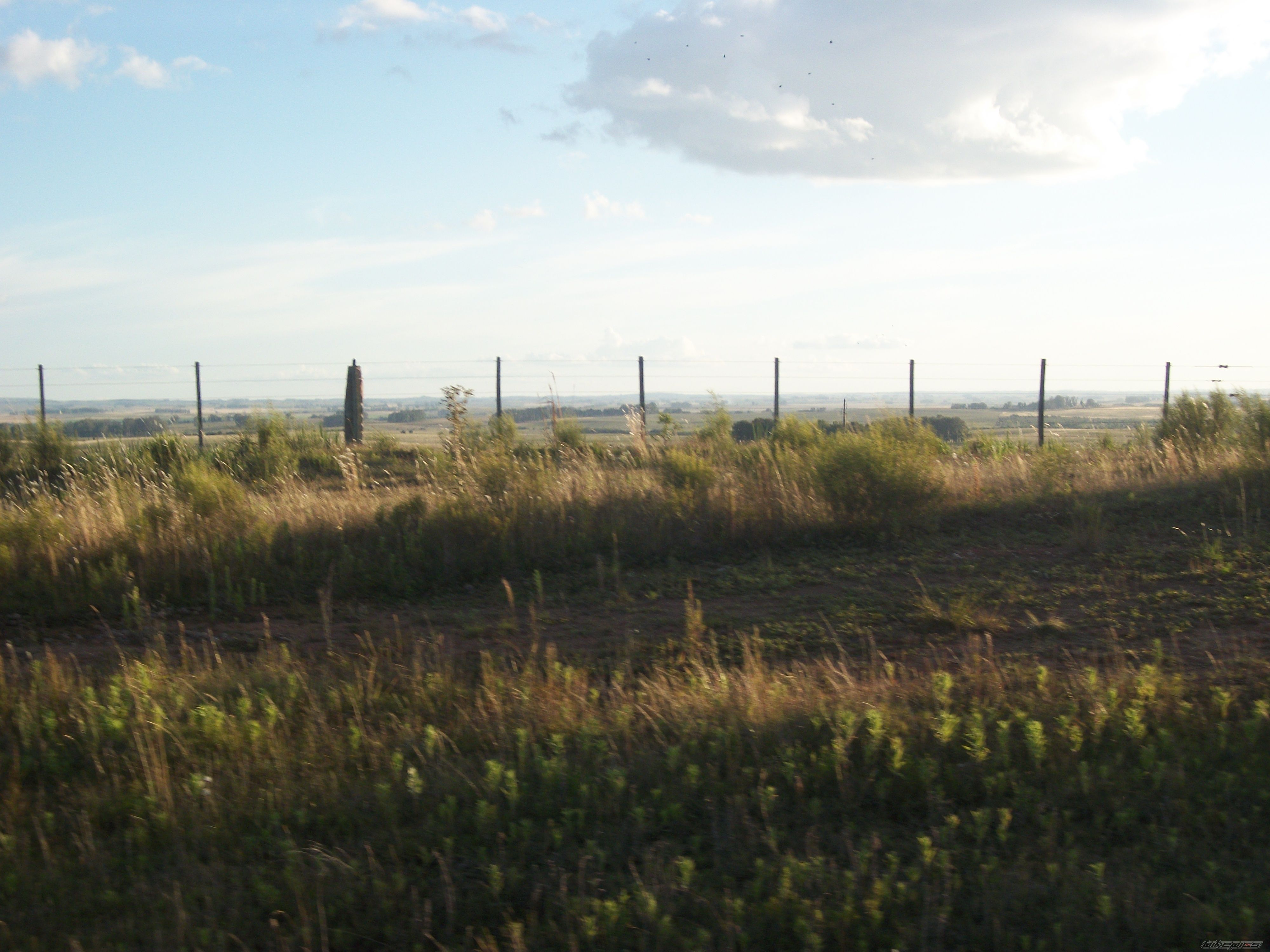 Photo 2318179