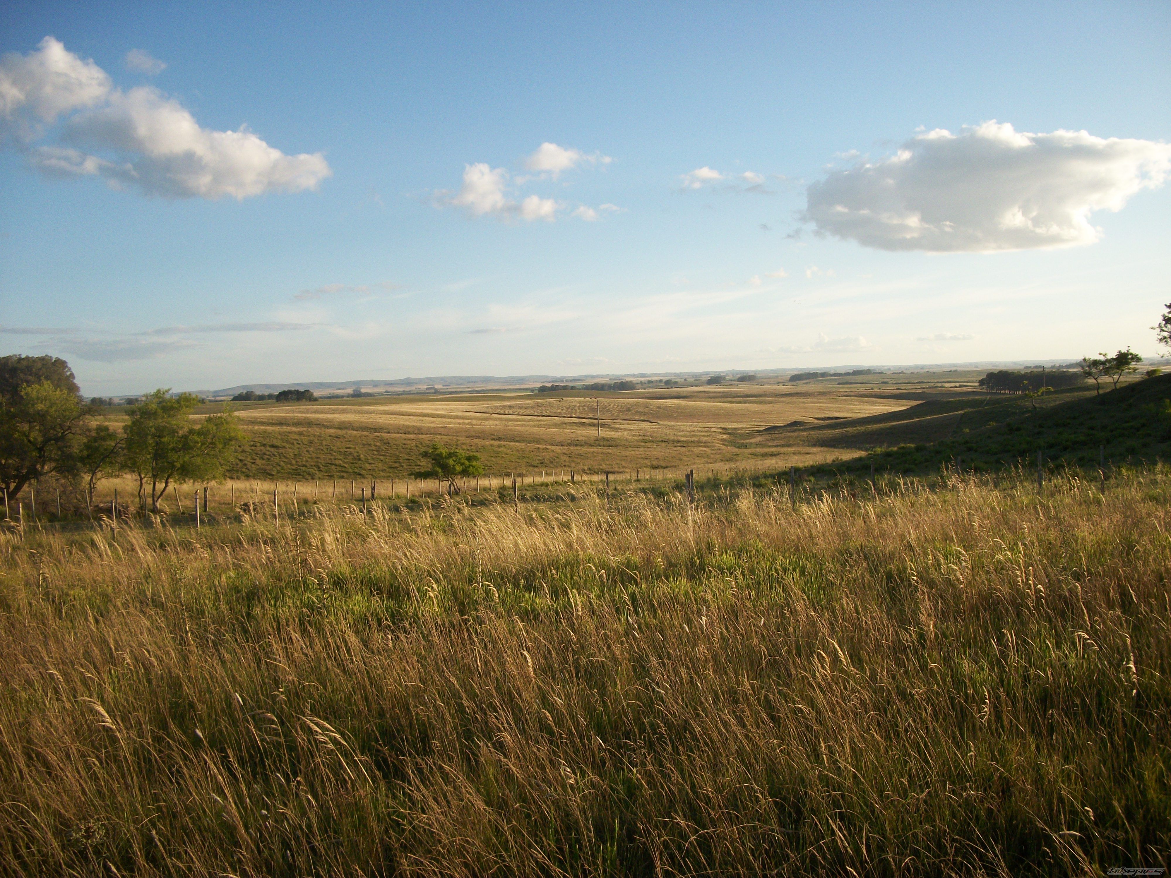 Photo 2318181