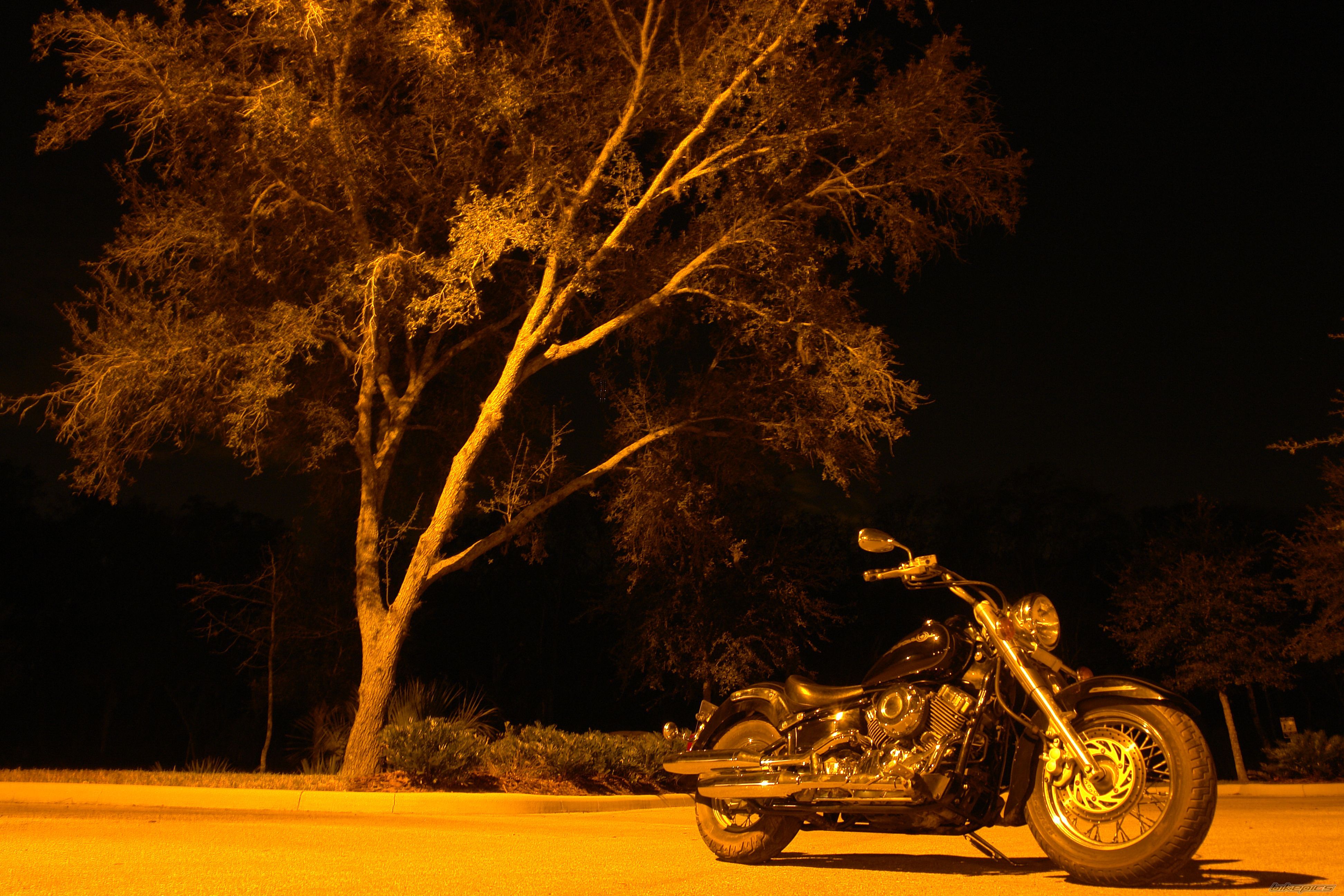 Photo 2318207
