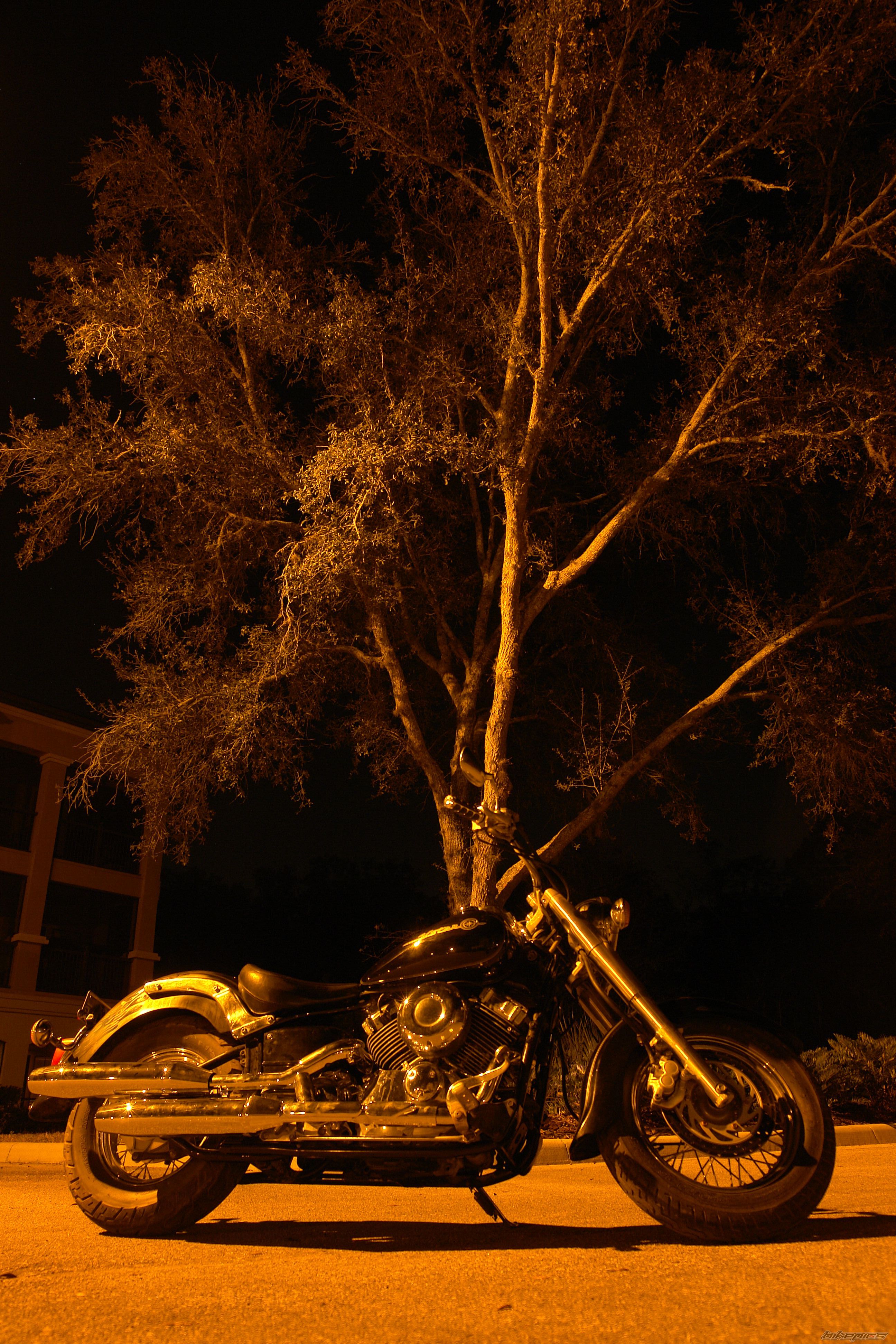 Photo 2318222