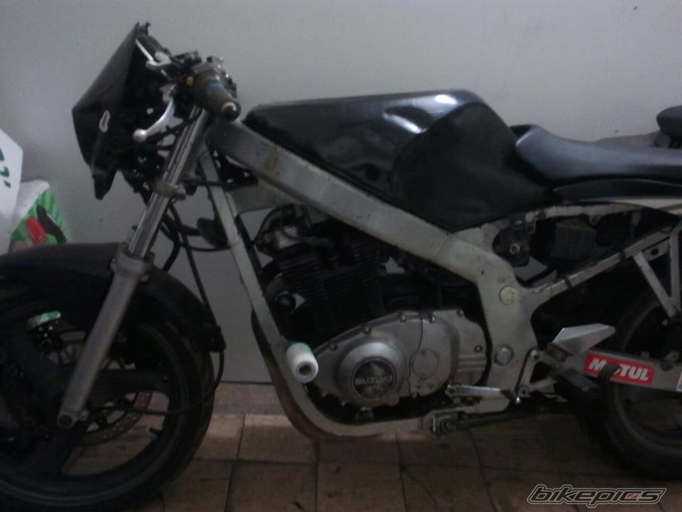 Photo 2318234