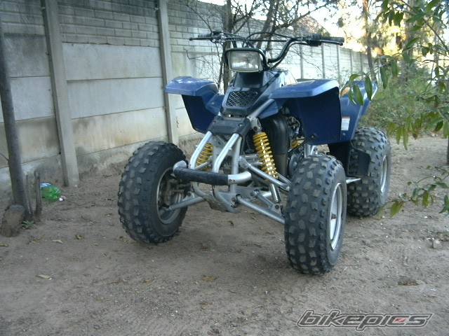 Photo 231828